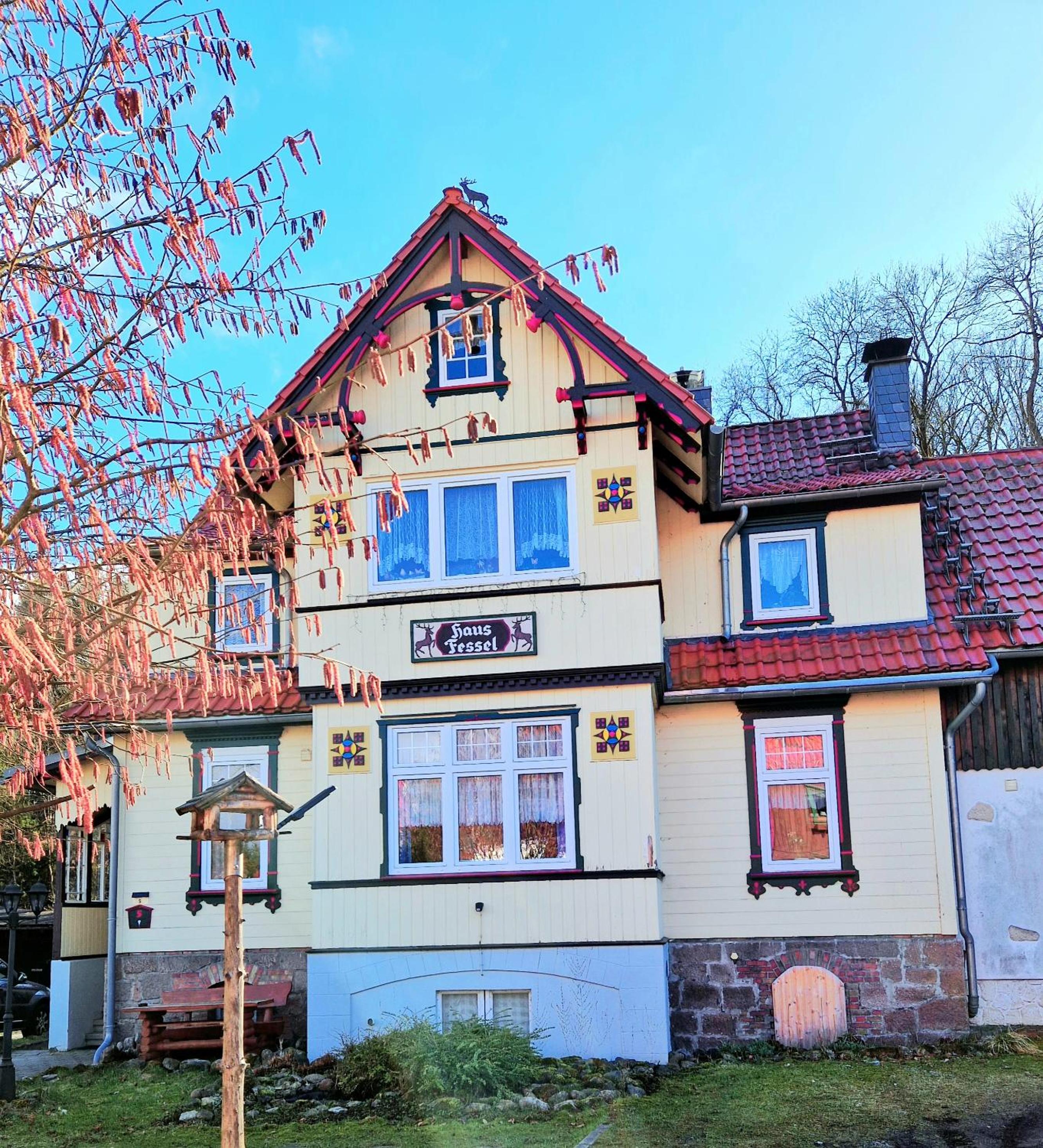 Haus Fessel - Birkenkopf