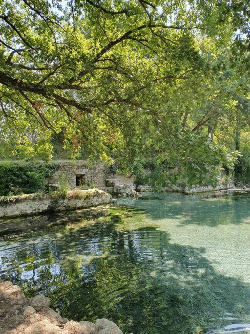 CASTELLO - Home Sweet Home Tuscany photo 4