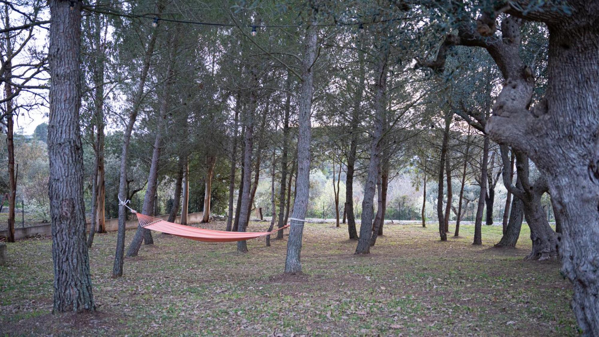 Trulli Magnolia
