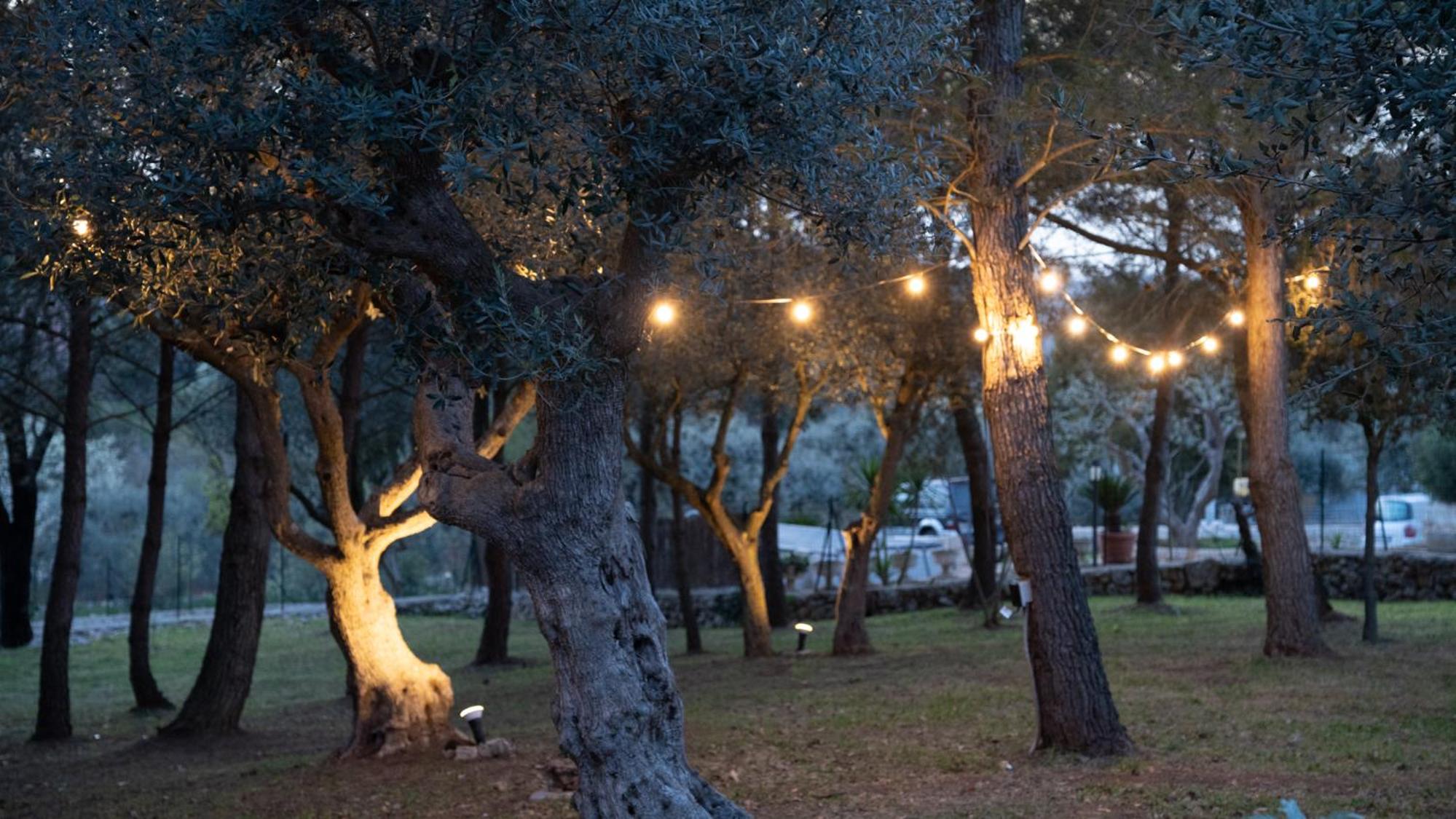 Trulli Magnolia
