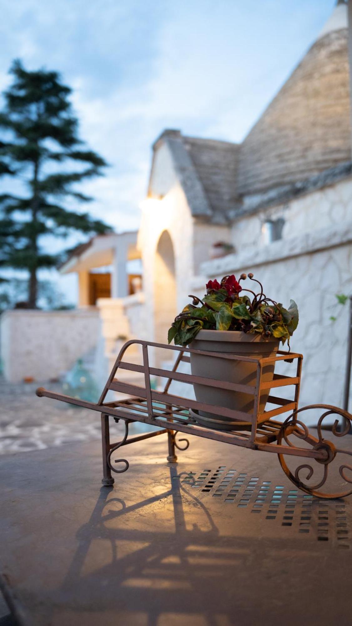 Trulli Magnolia