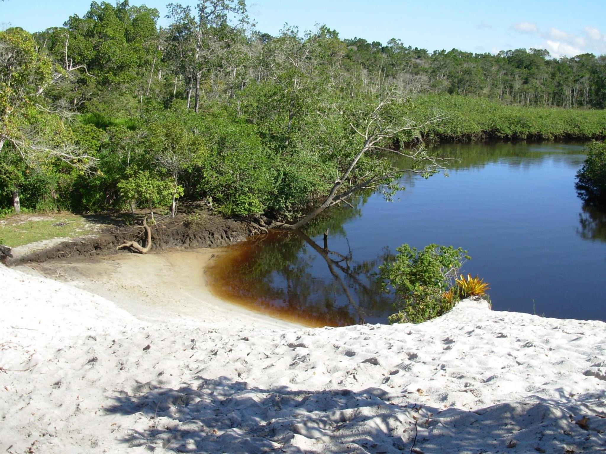 Photo 40