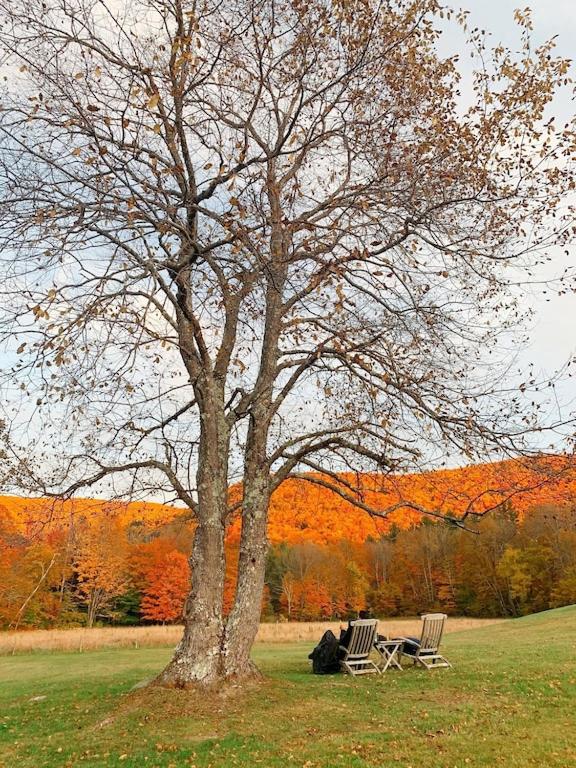 Historic Renovated Barn at Boorn Brook Farm - Manchester Vermont