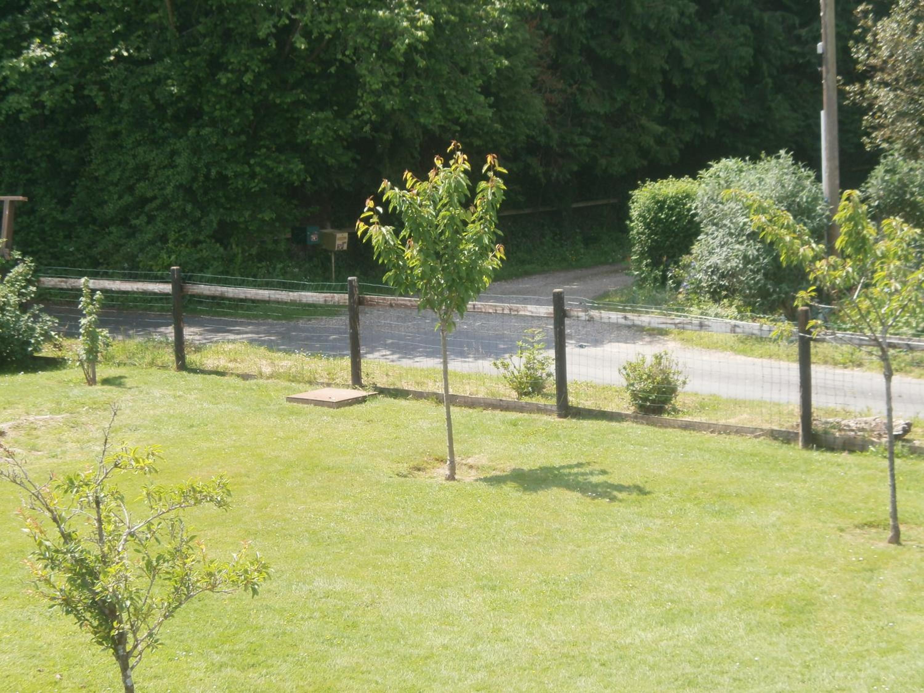 Photo 8