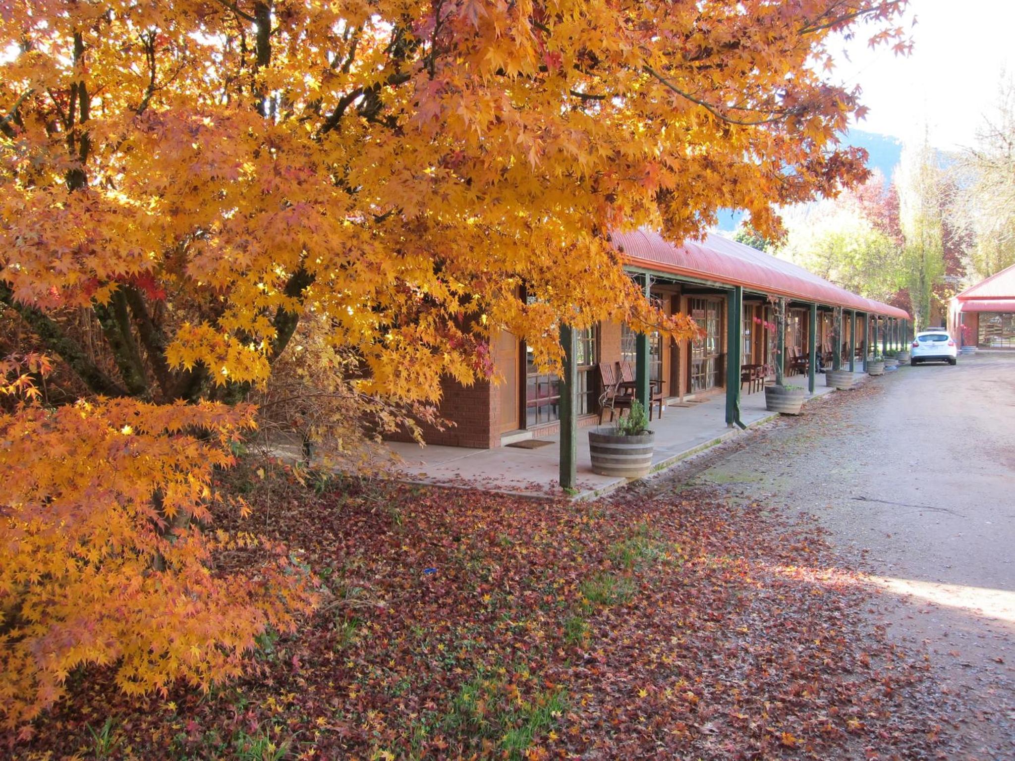 Snowline Motel