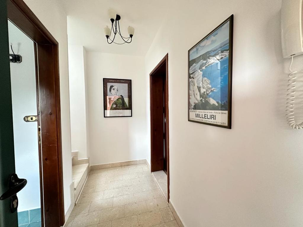 Monteview Duplex