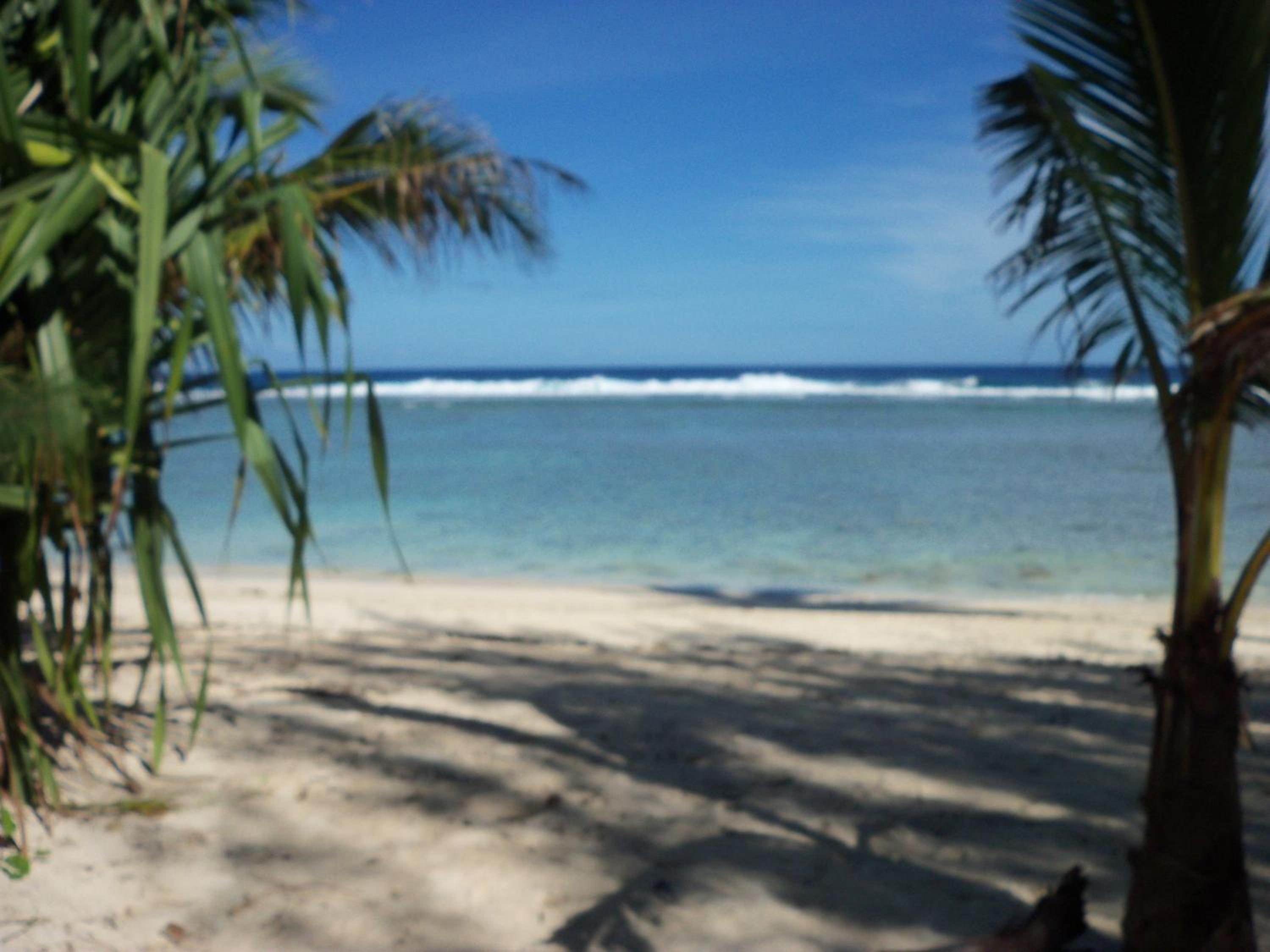 Coral Sands Apartments