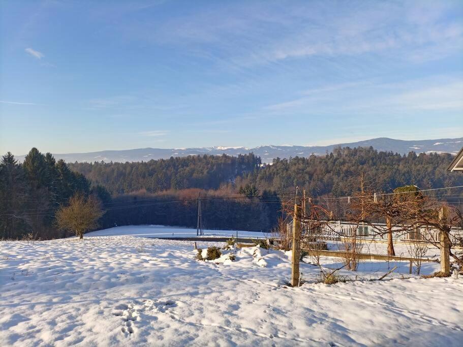 Ferienhaus Hefentrager Nähe Schilcherweinstraße