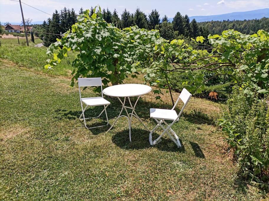 Ferienhaus Hefentrager Nähe Schilcherweinstraße