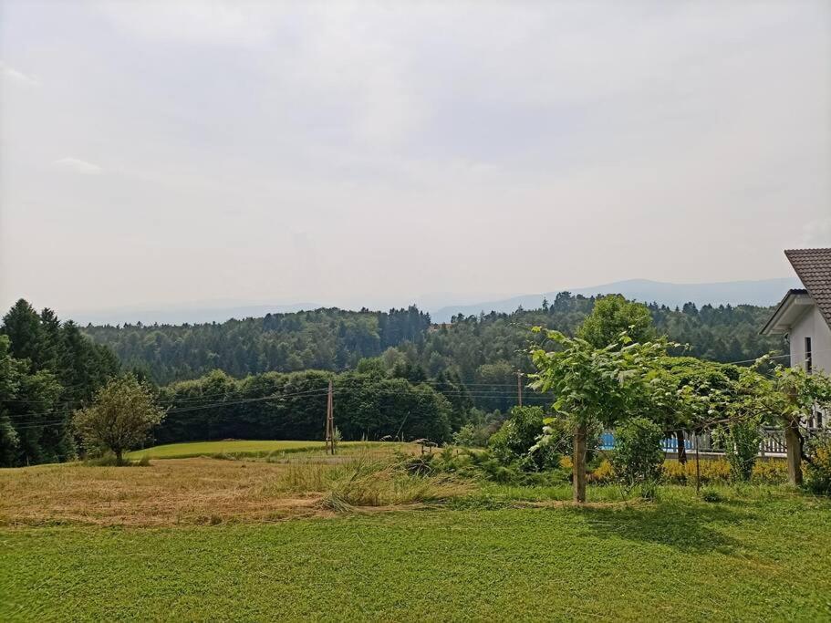 Ferienhaus Hefentrager Nähe Schilcherweinstraße