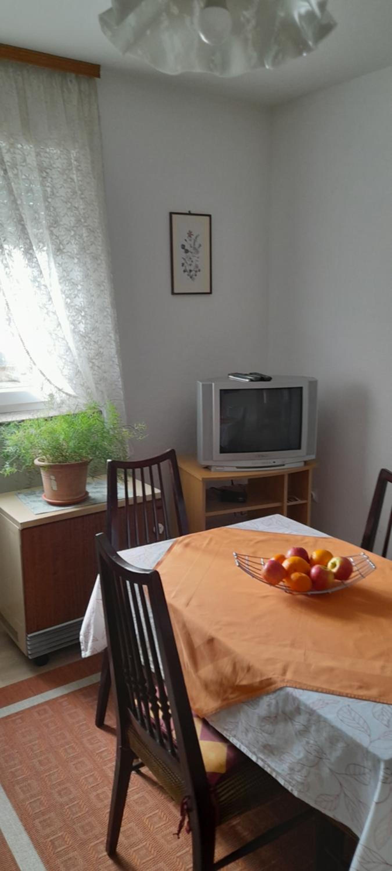Photo 51
