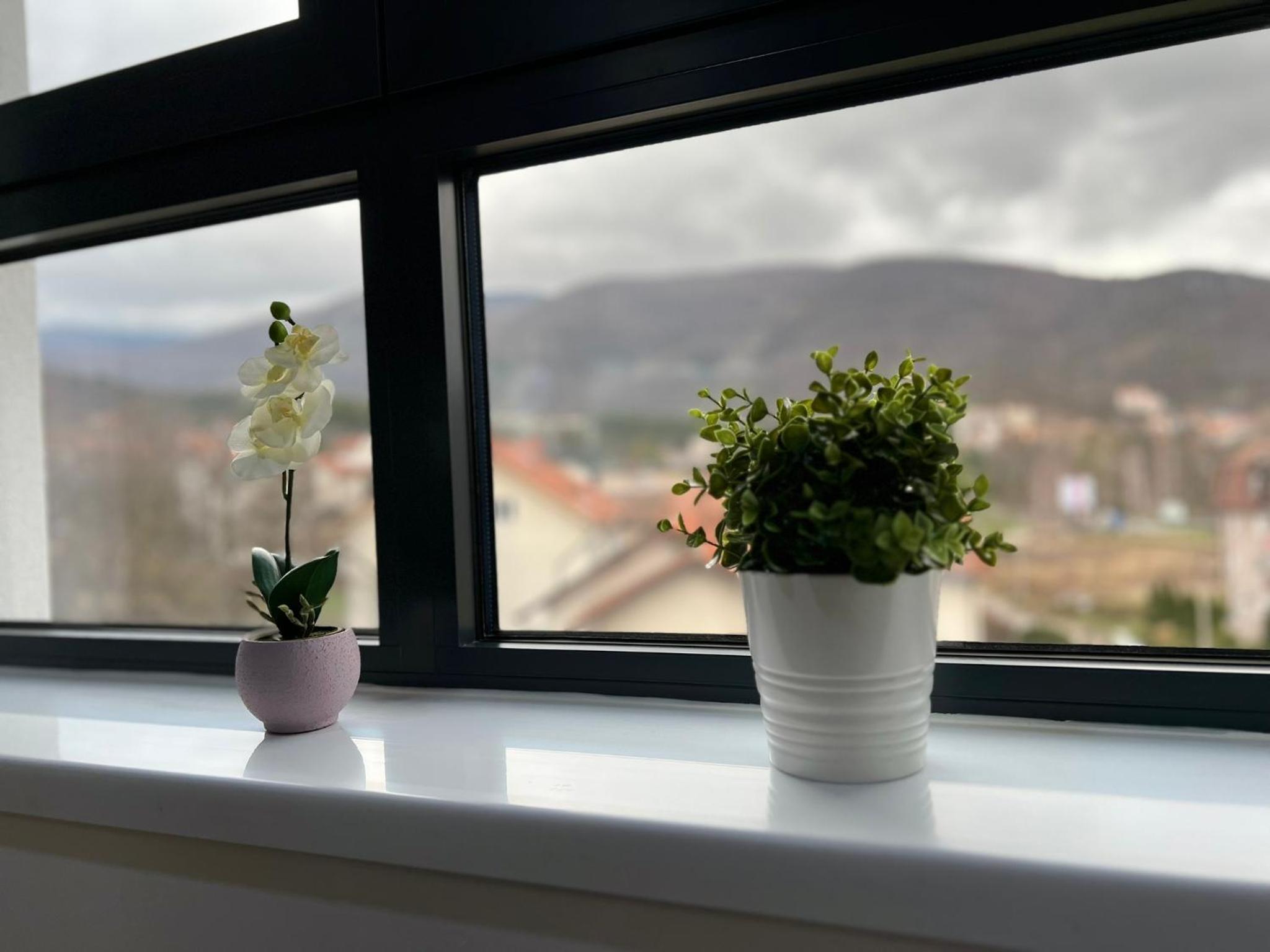 Aleksandar apartman Sokobanja