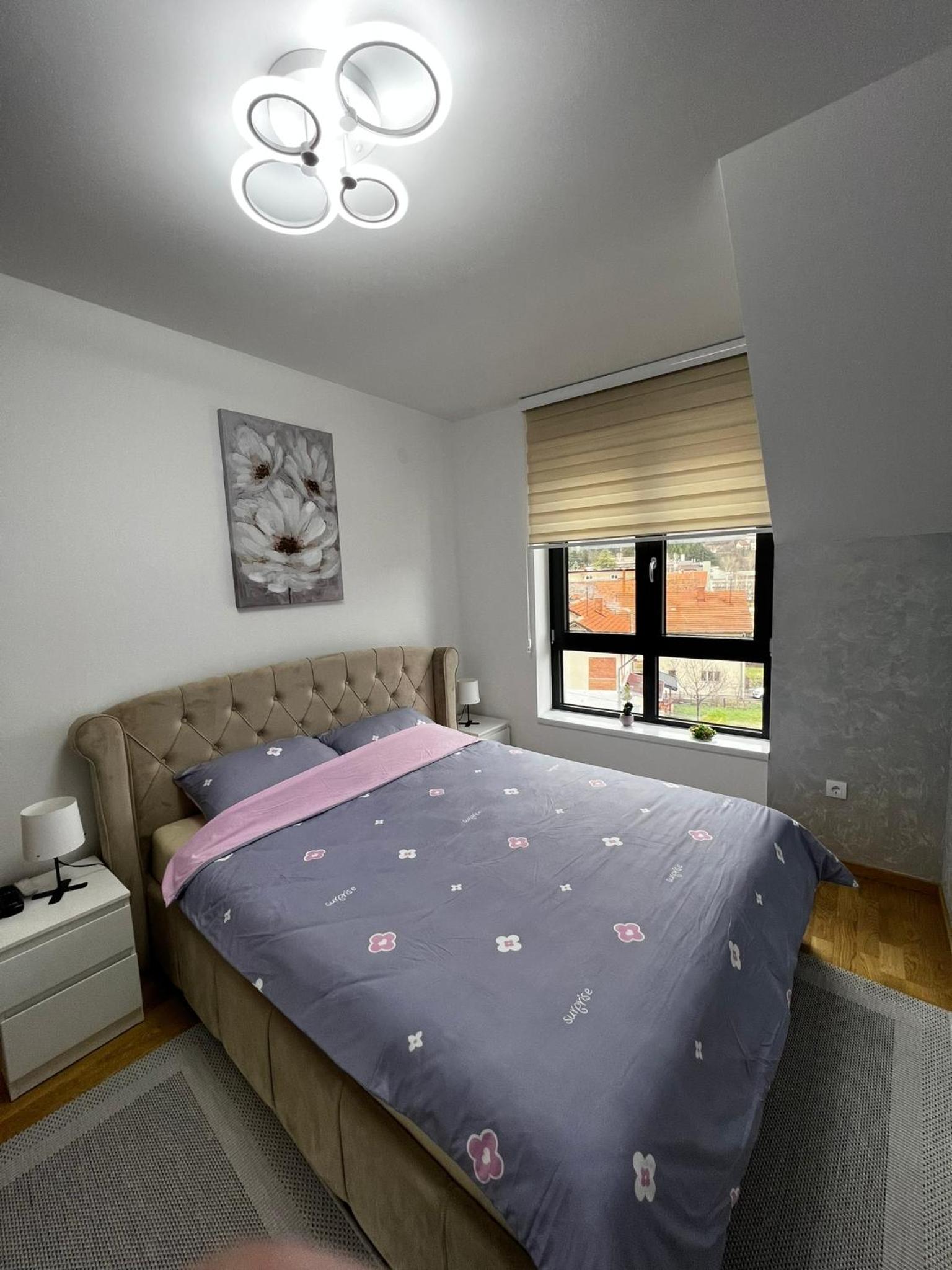 Aleksandar apartman Sokobanja