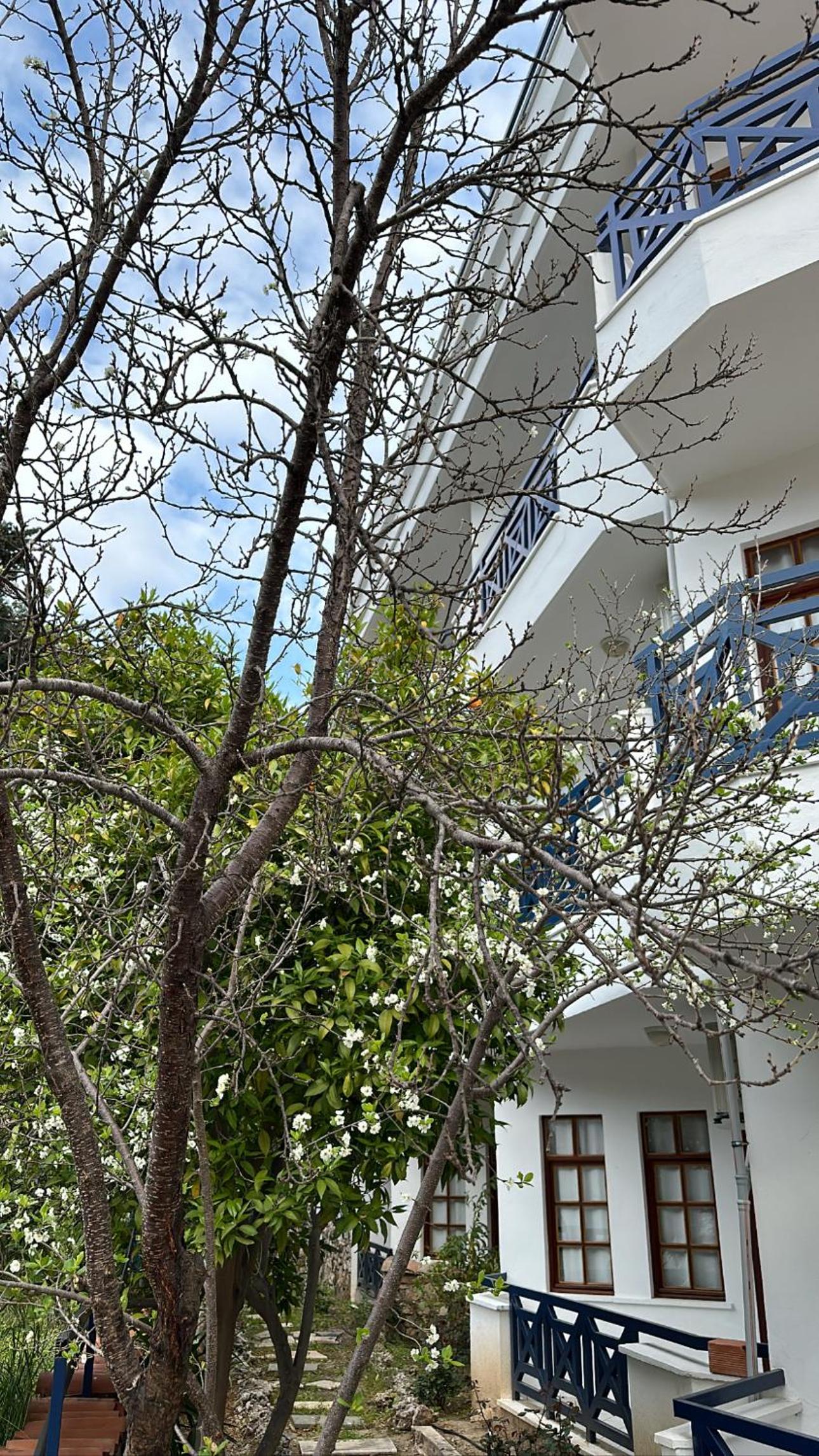 NATURELLA APART HOTEL - Image 64