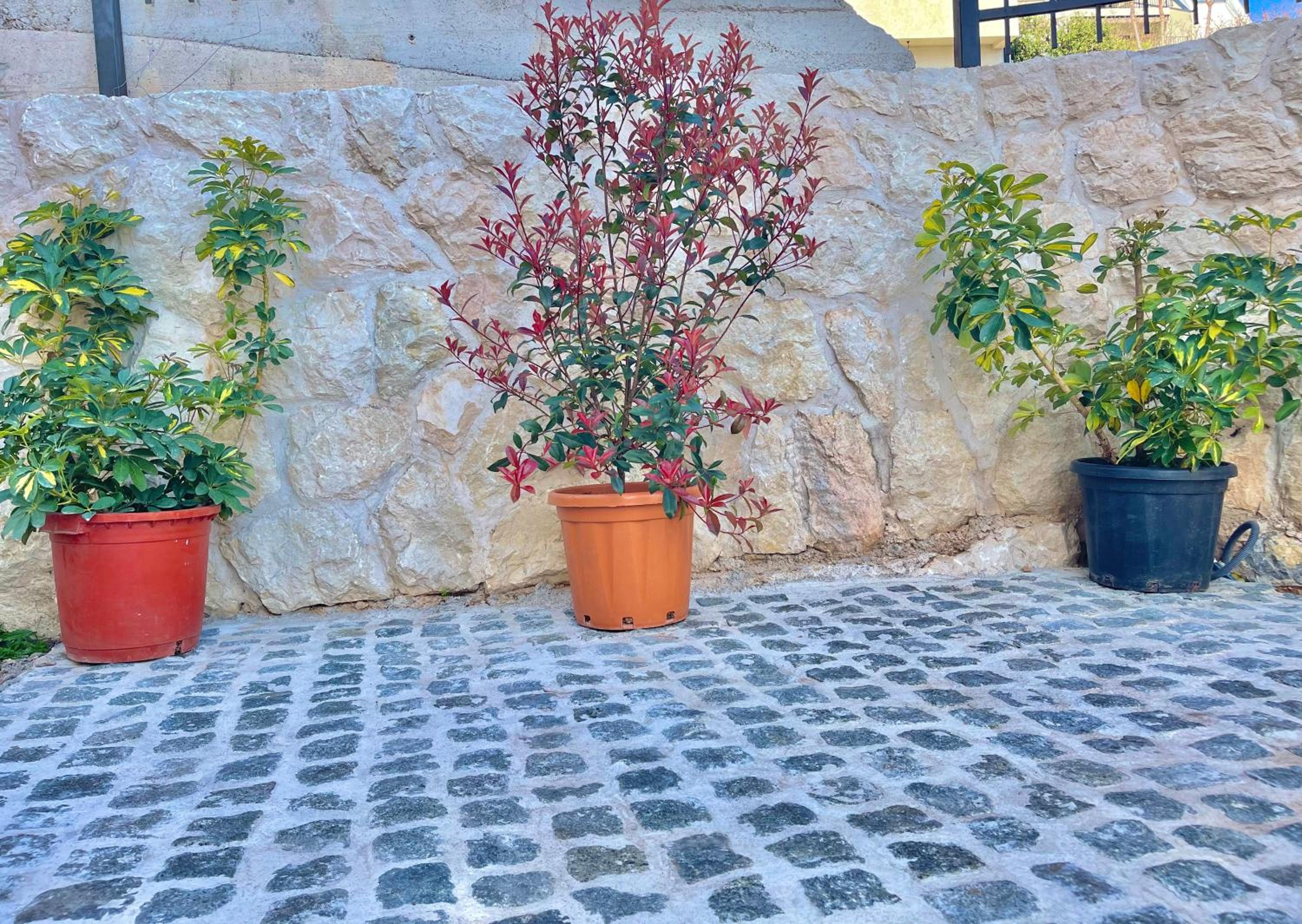 Villa Serenity Budva