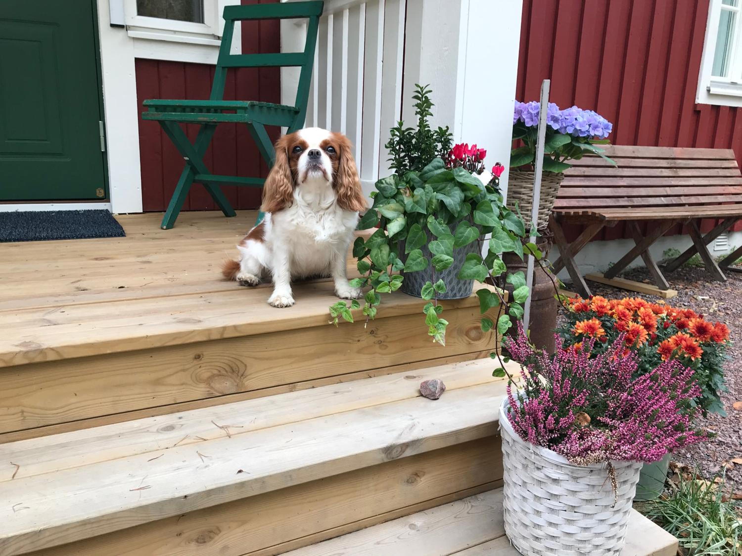Villa Fryksta view 5
