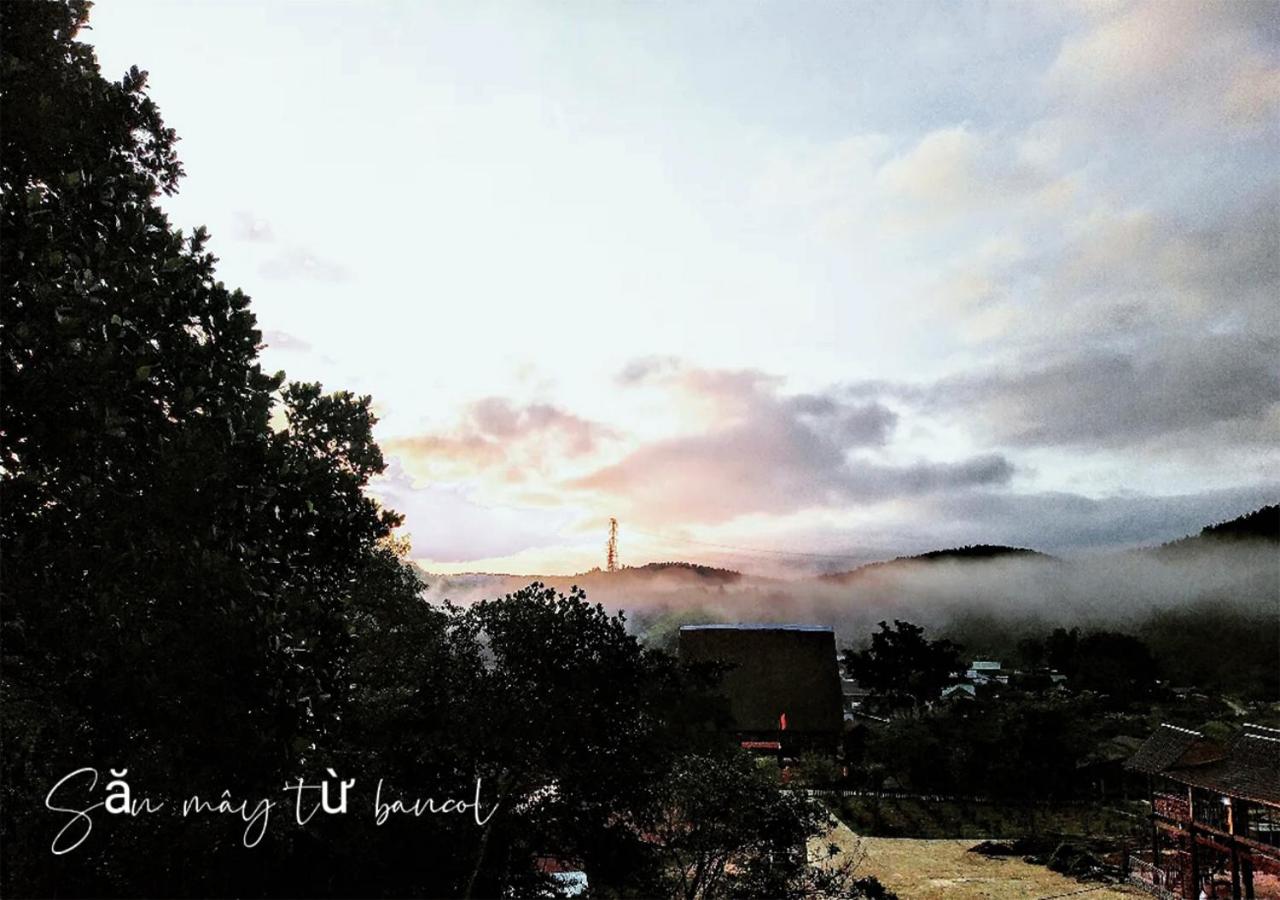 Photo 36