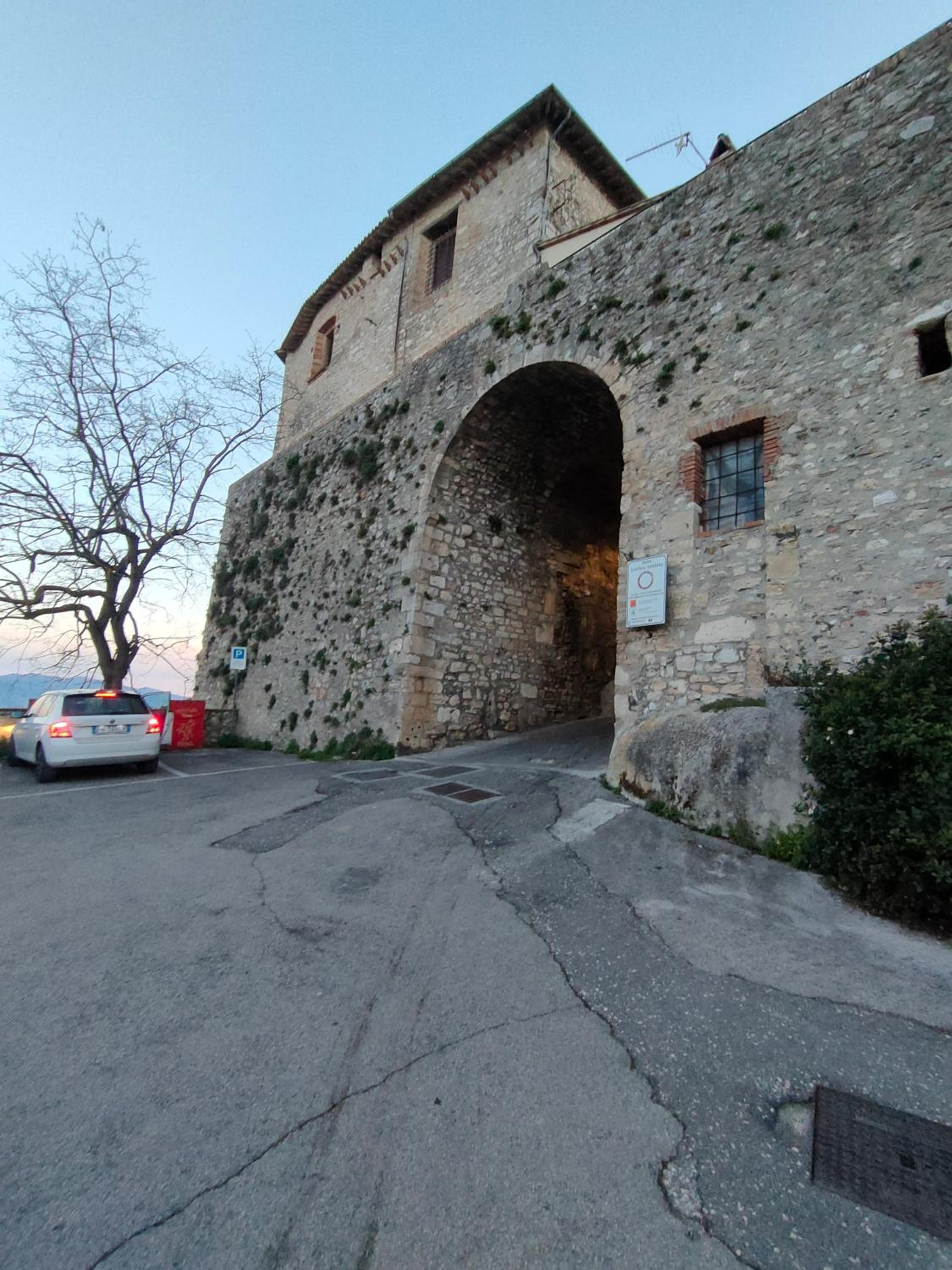 Photo 45