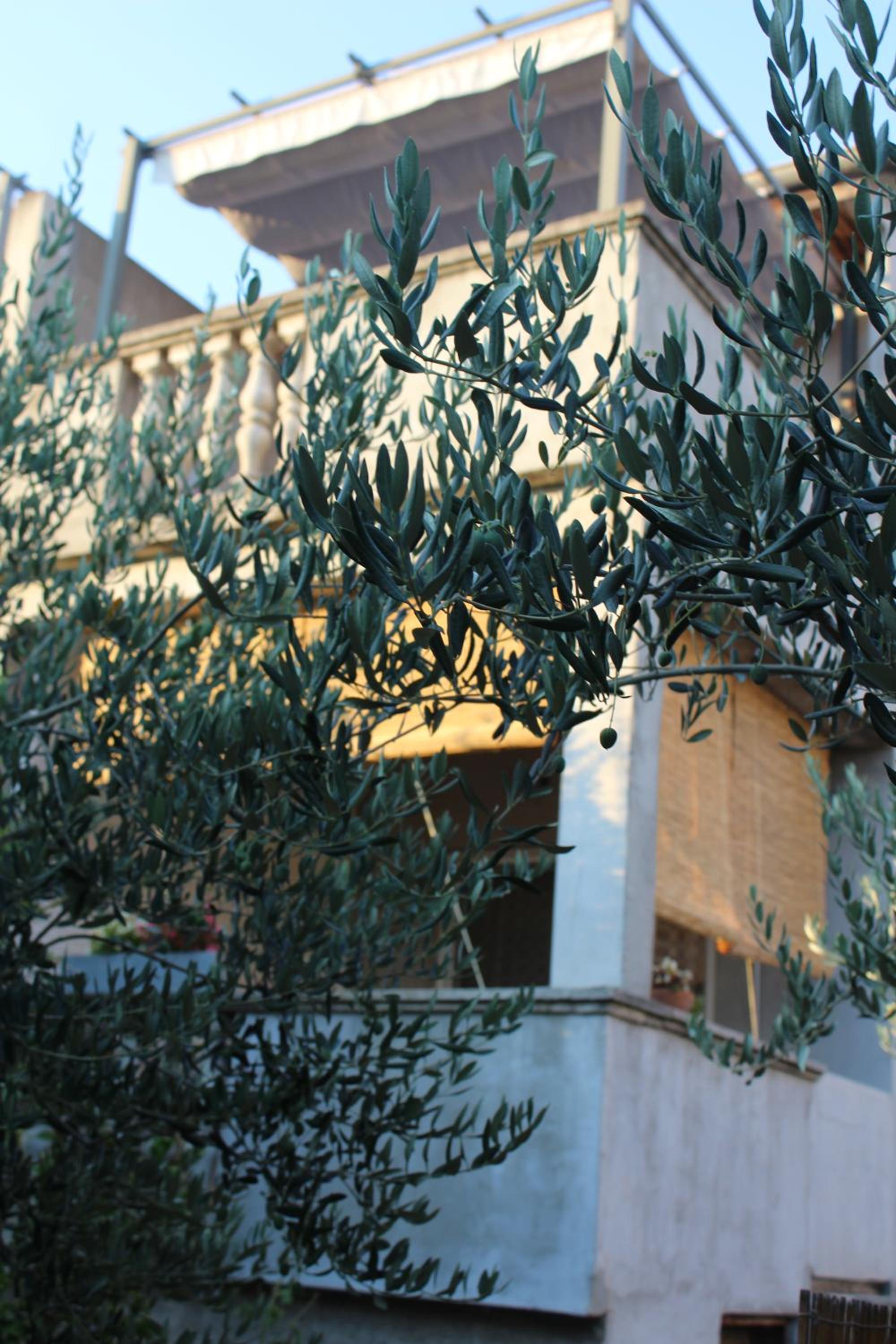 Photo 28