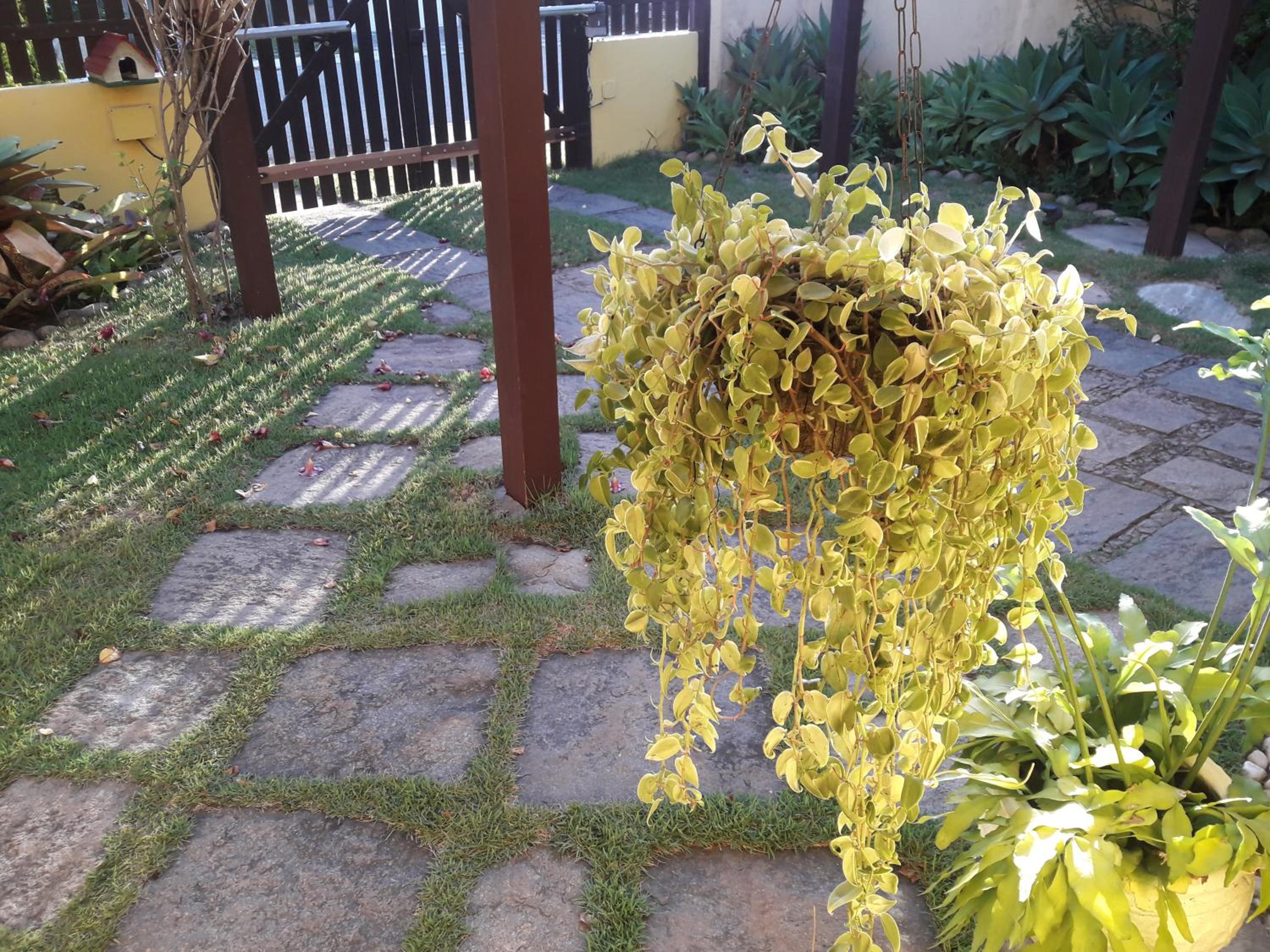Casa da Ogiva