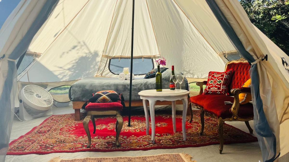 Glamping En Green Hills Mansion Malinalco view 5