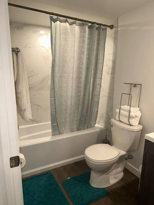 Brand new 1 Bedroom Basement Suite. Wi-Fi,Netflix