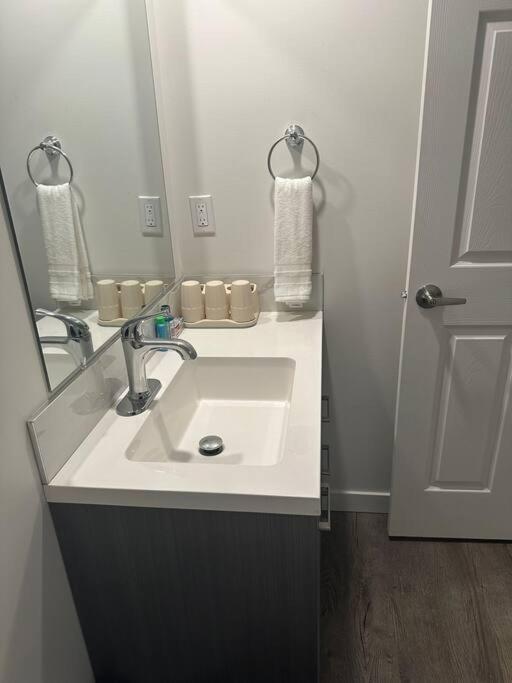 Brand new 1 Bedroom Basement Suite. Wi-Fi,Netflix