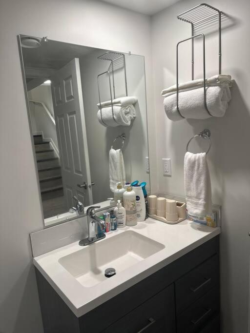 Brand new 1 Bedroom Basement Suite. Wi-Fi,Netflix