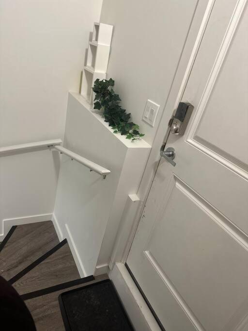 Brand new 1 Bedroom Basement Suite. Wi-Fi,Netflix