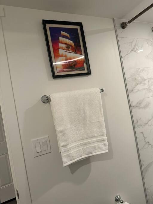 Brand new 1 Bedroom Basement Suite. Wi-Fi,Netflix