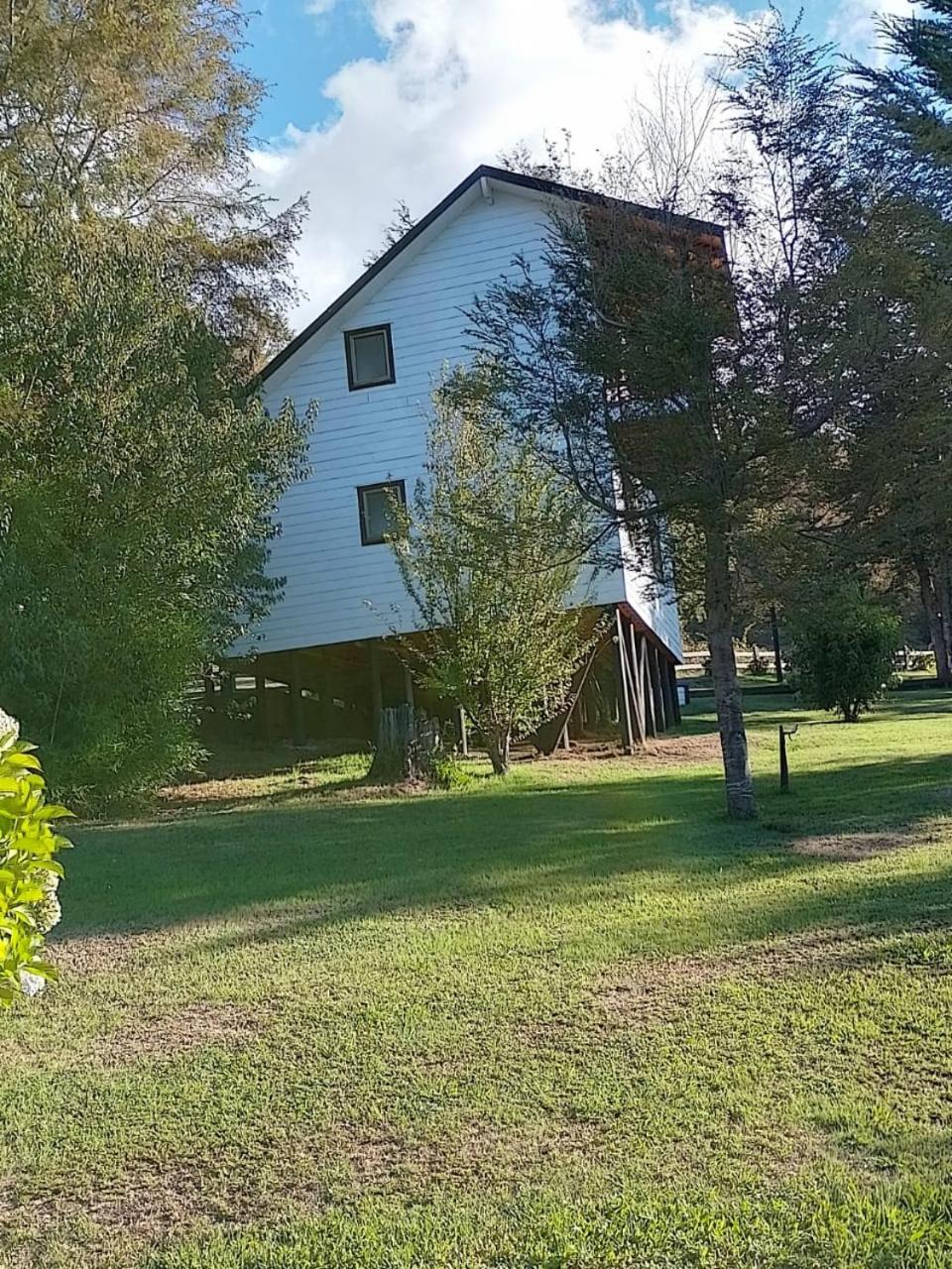 Photo 29