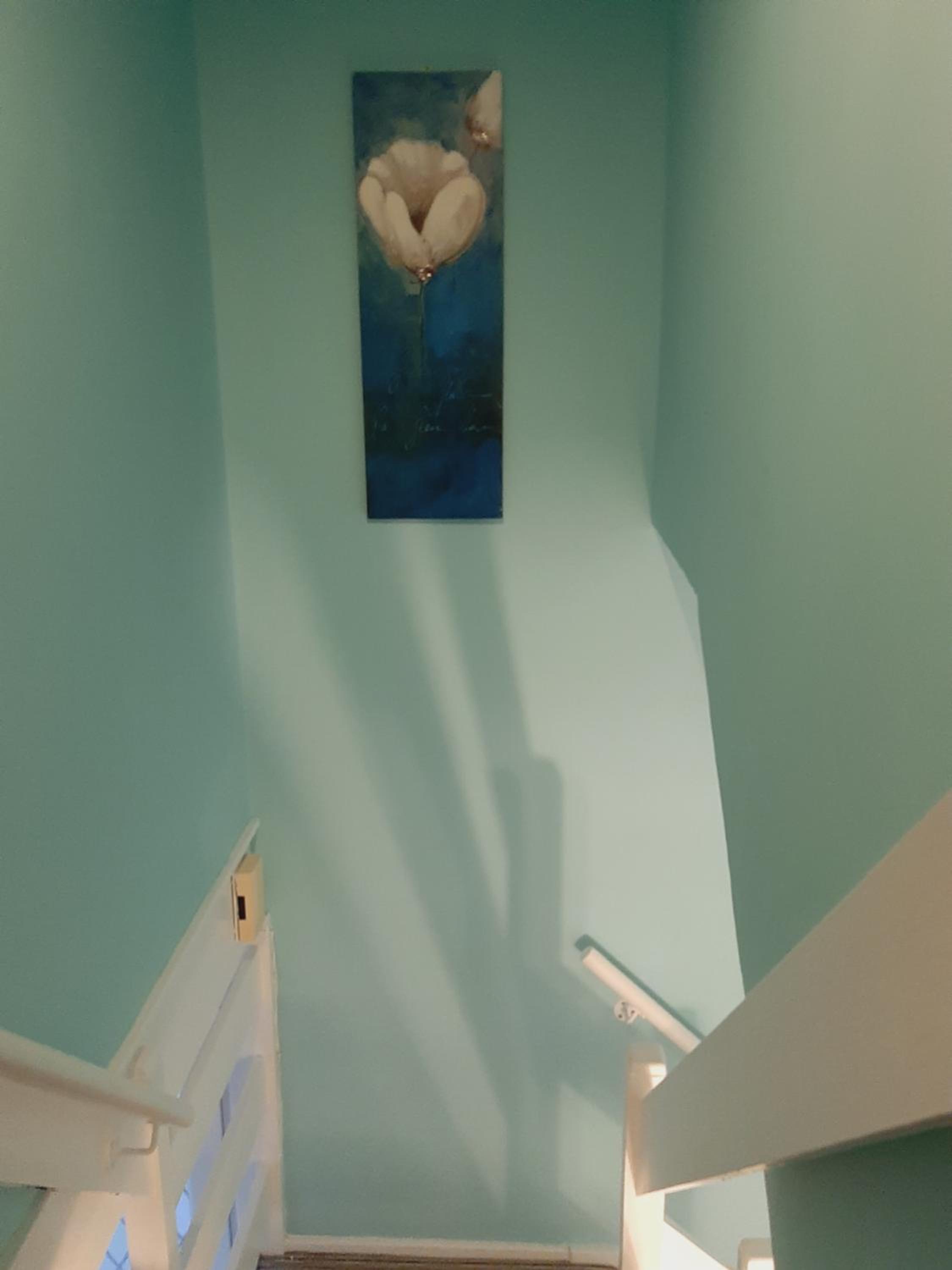 Photo 37