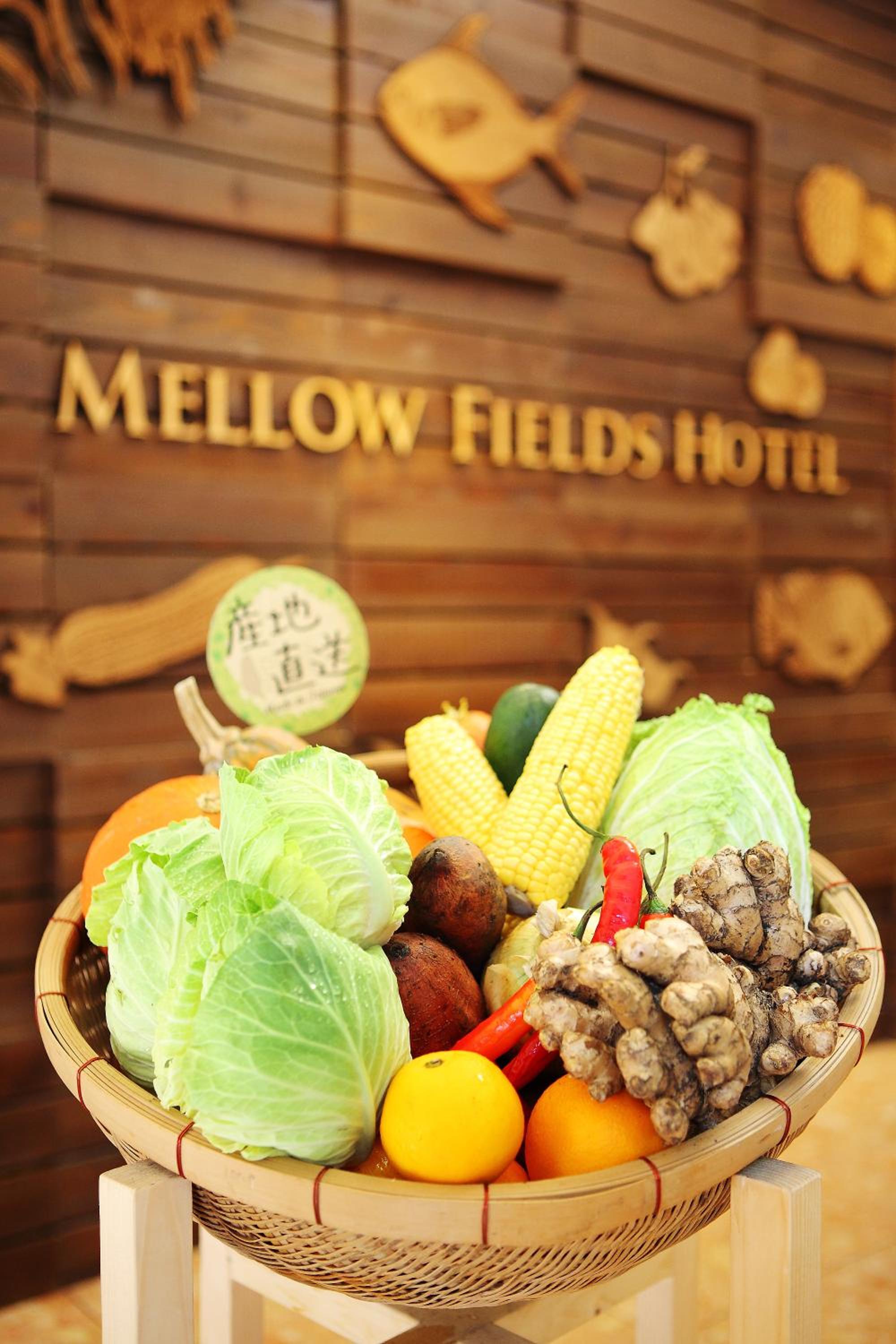Mellow Fields Hotel