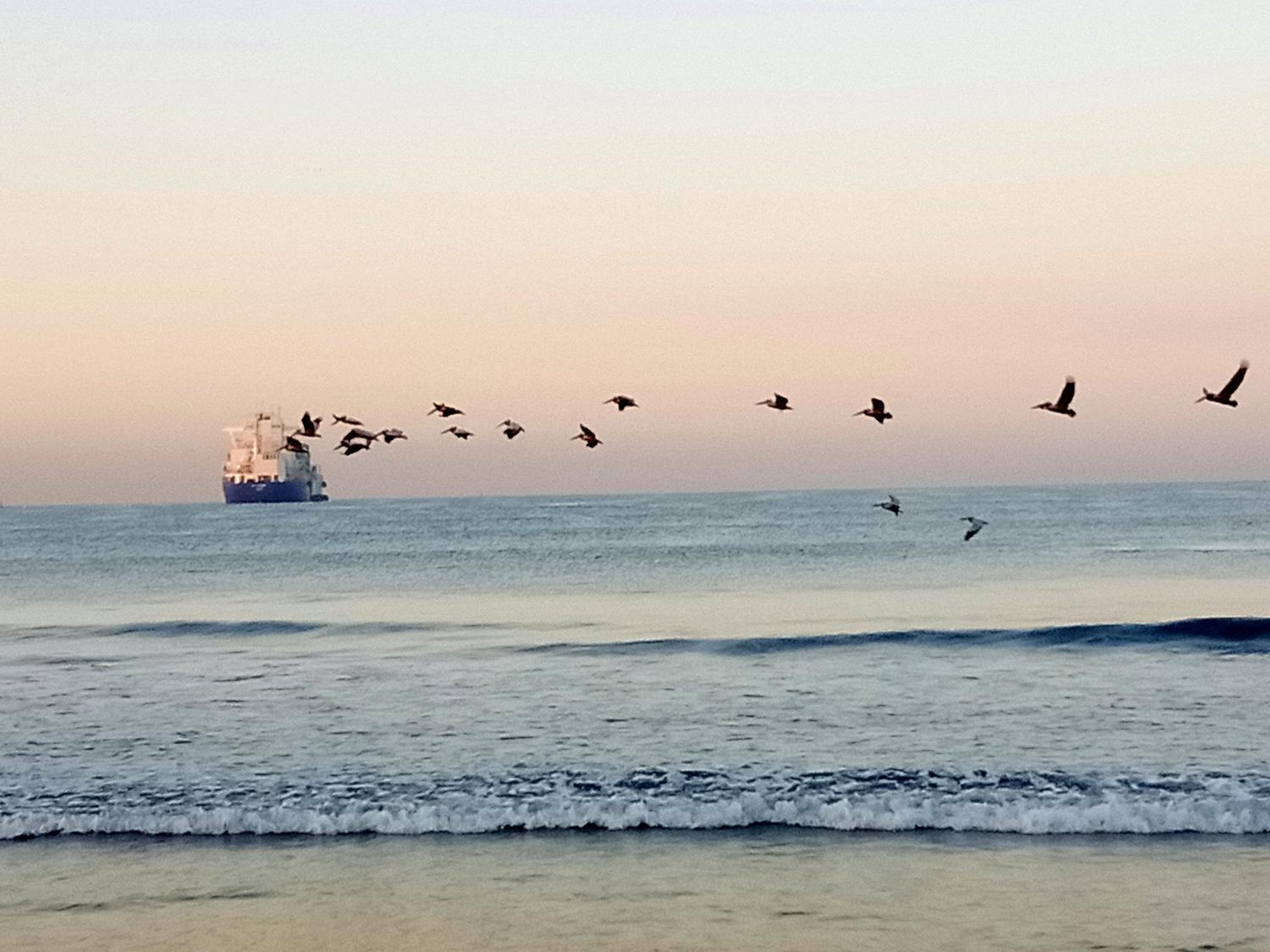 Vista del Mar