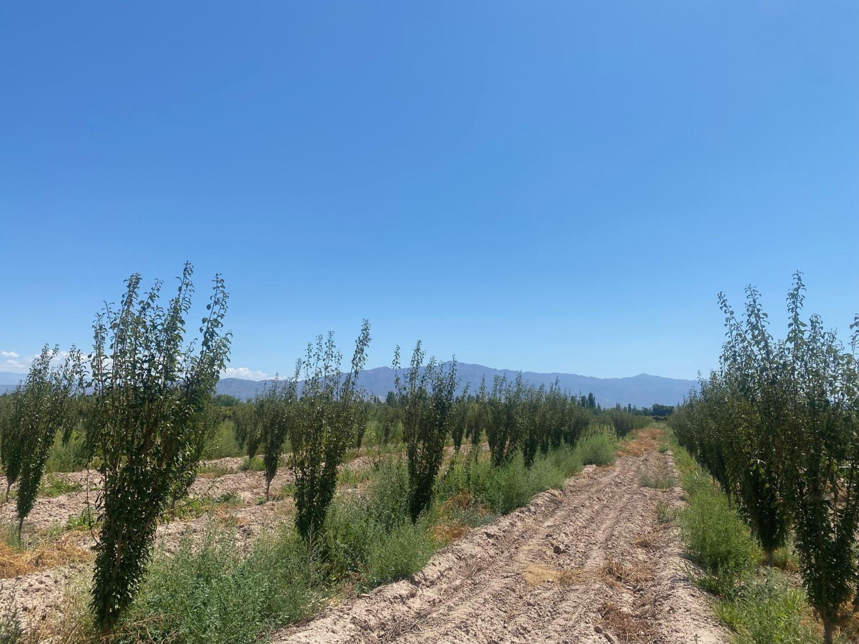 El rincón del nene
