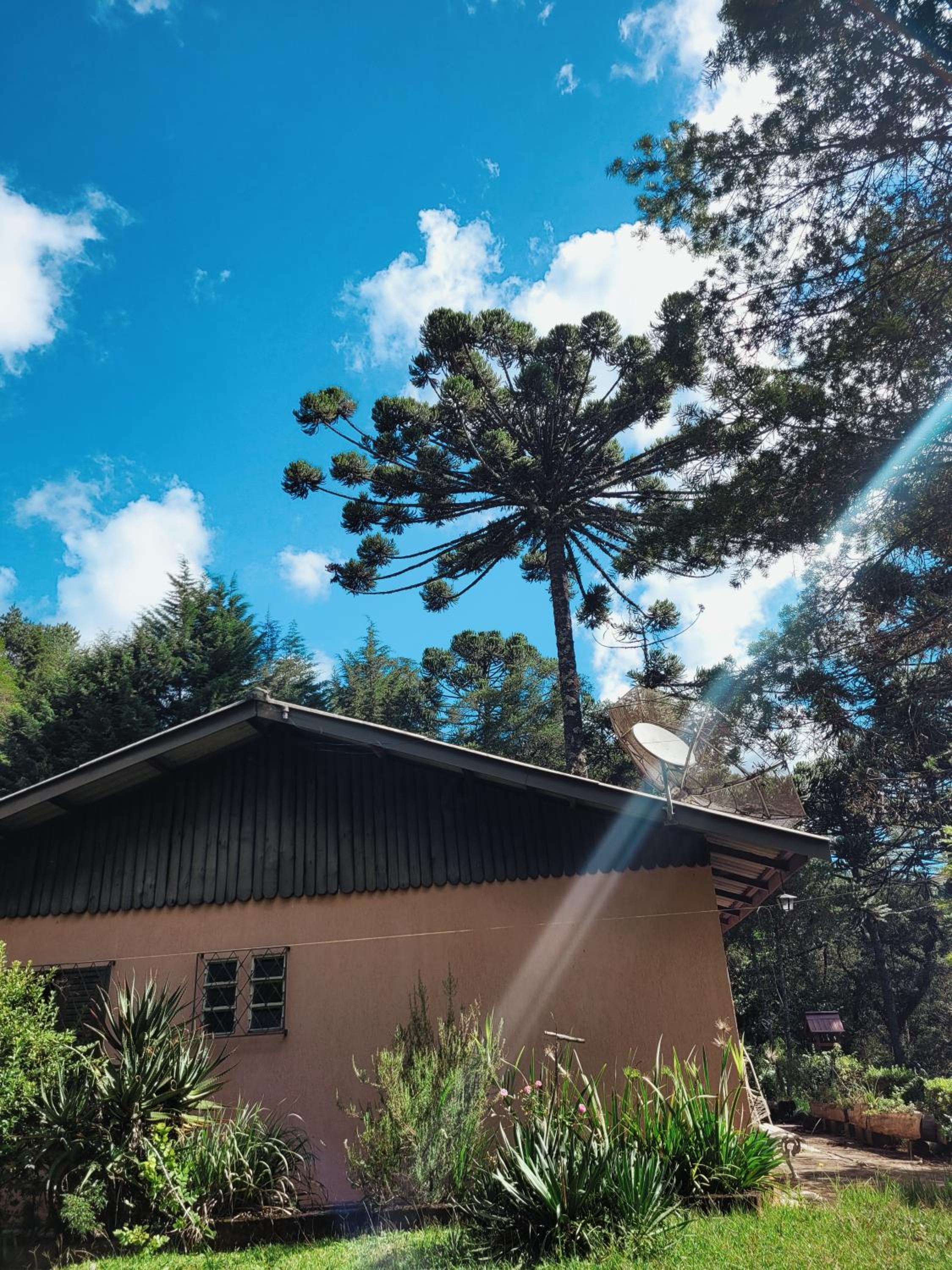 Casa em Campos do Jordão - 3 quartos, com churrasqueira