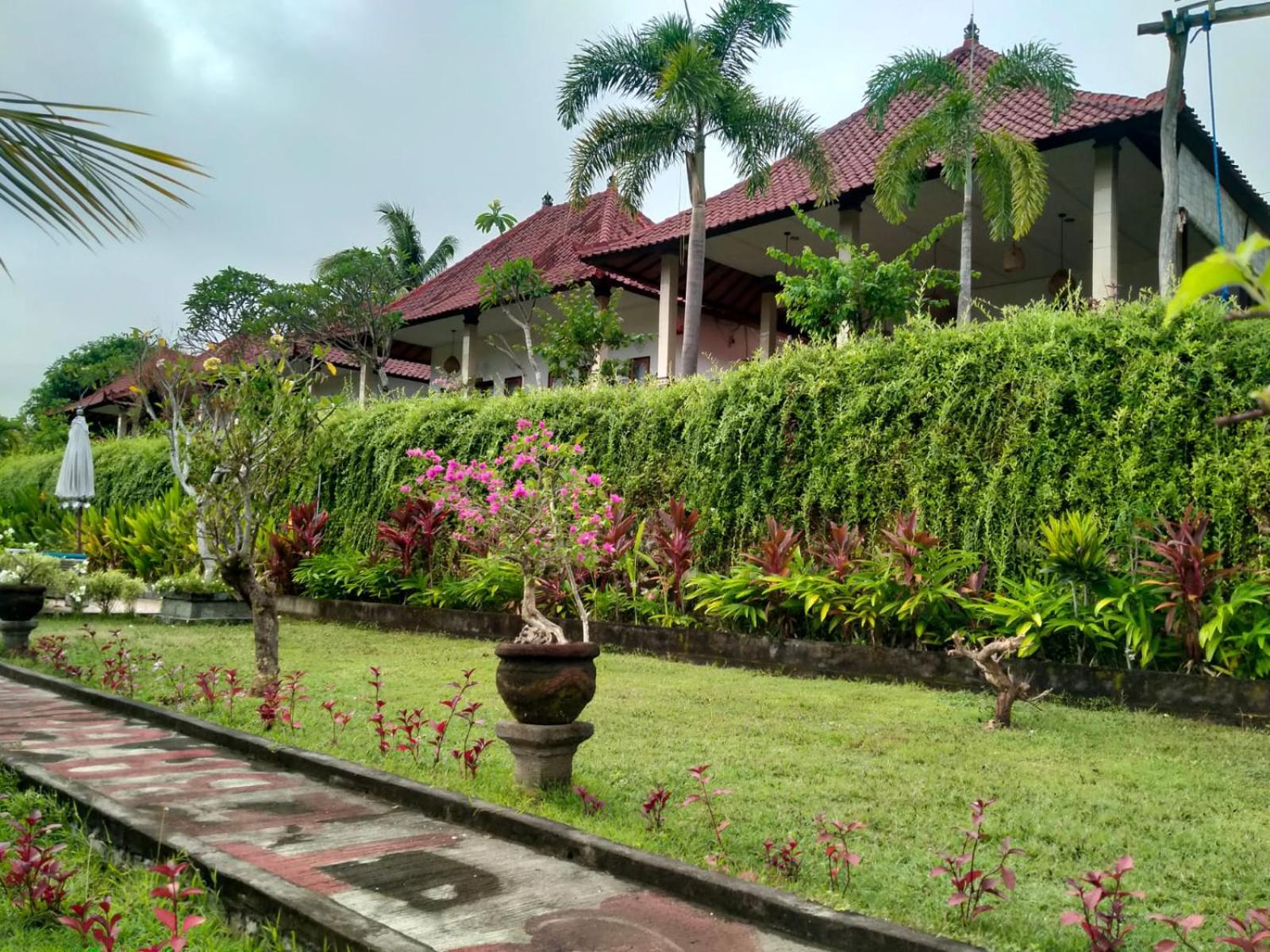 Photo 49