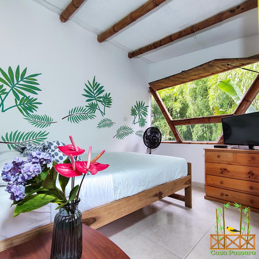Casa Passaro view 5
