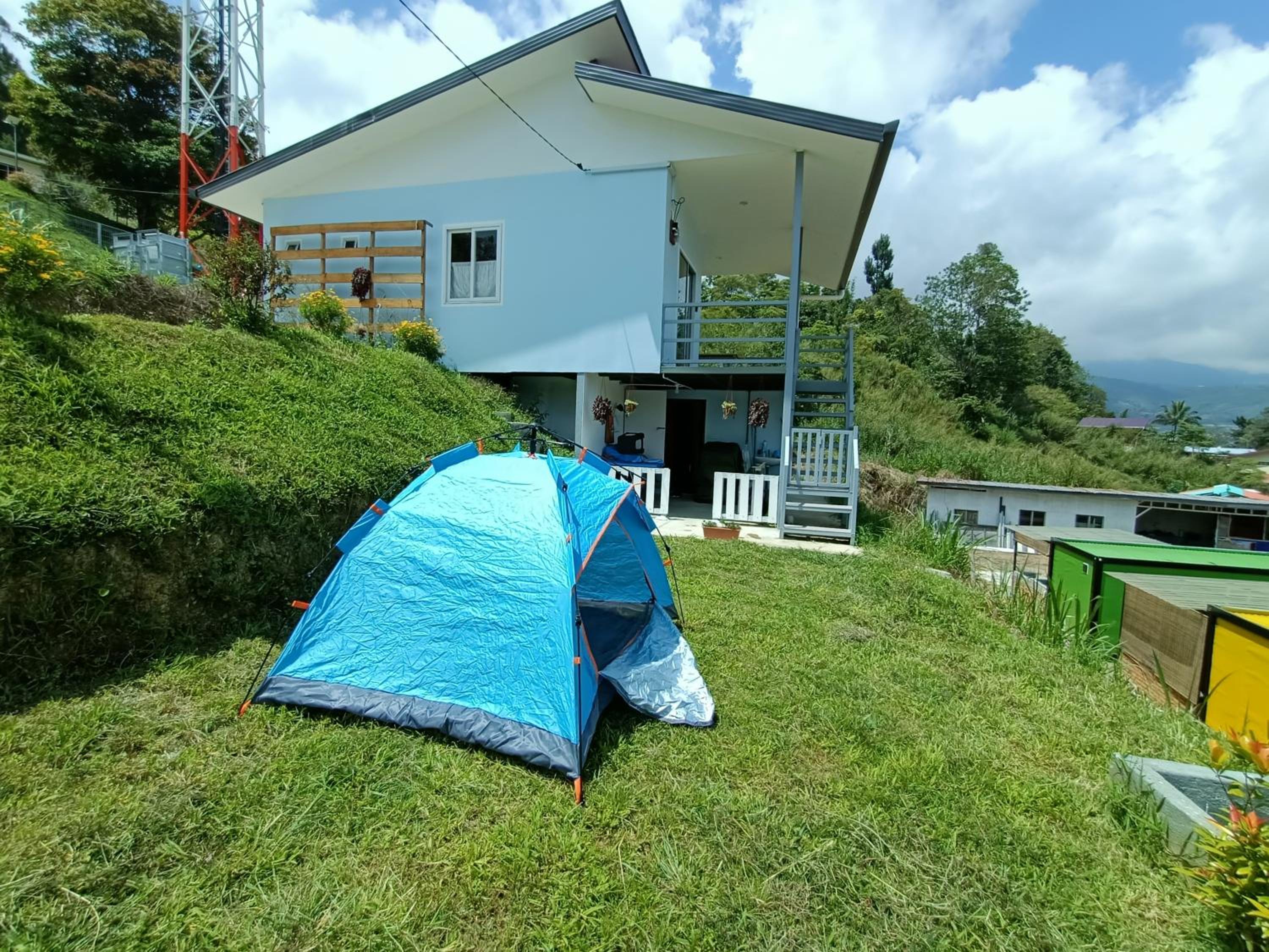 Photo 25
