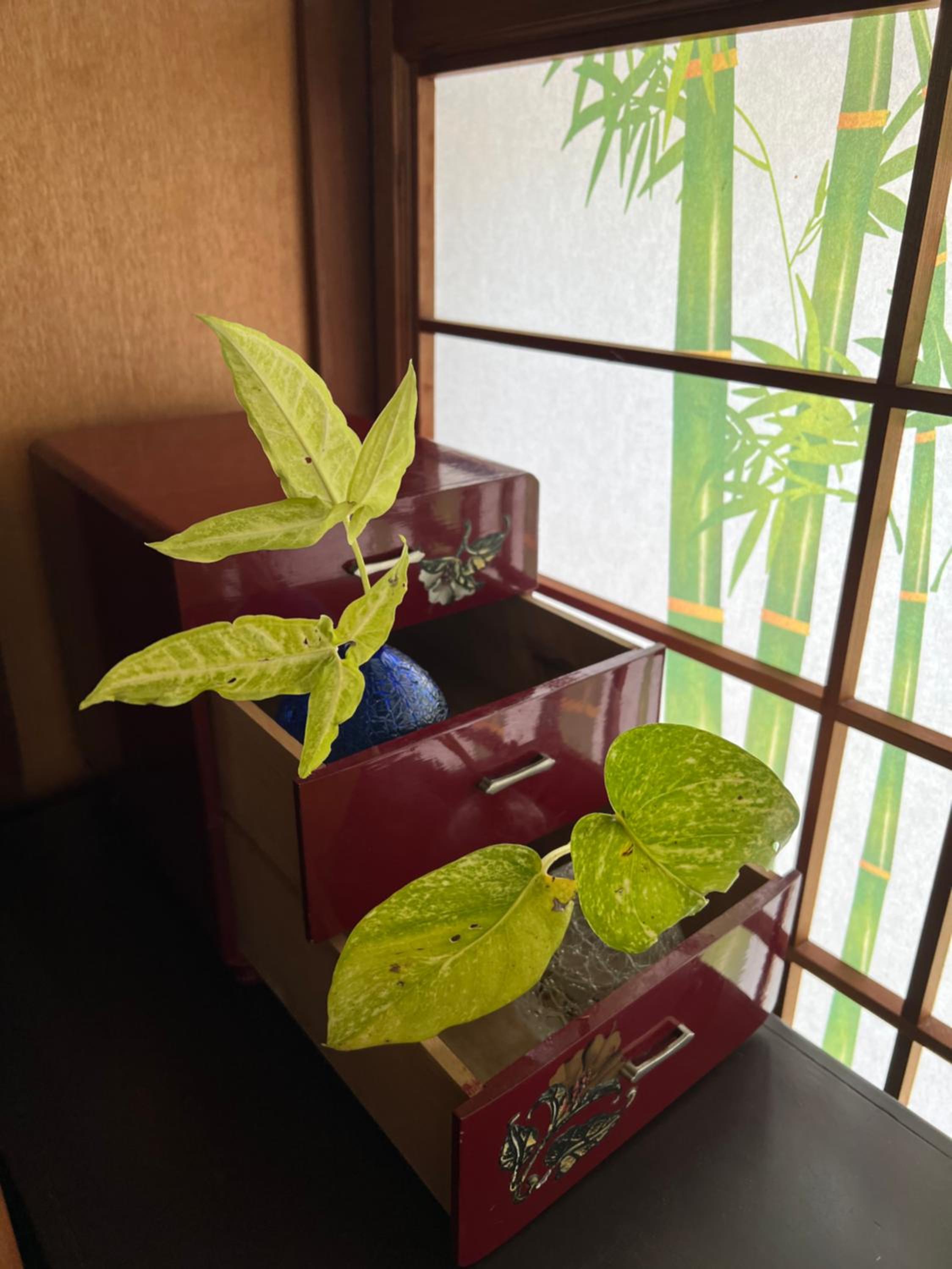 Photo 43