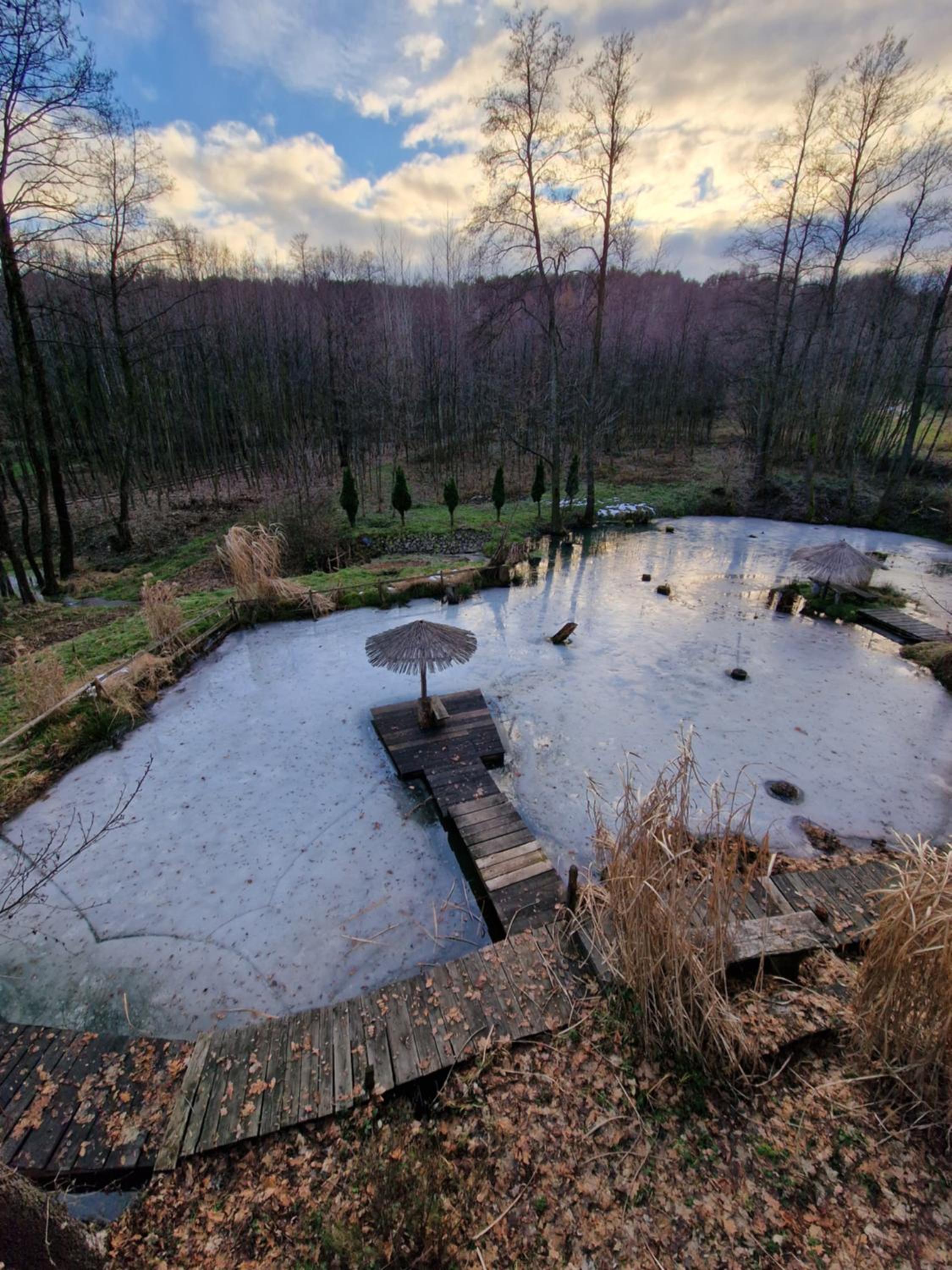 Photo 40