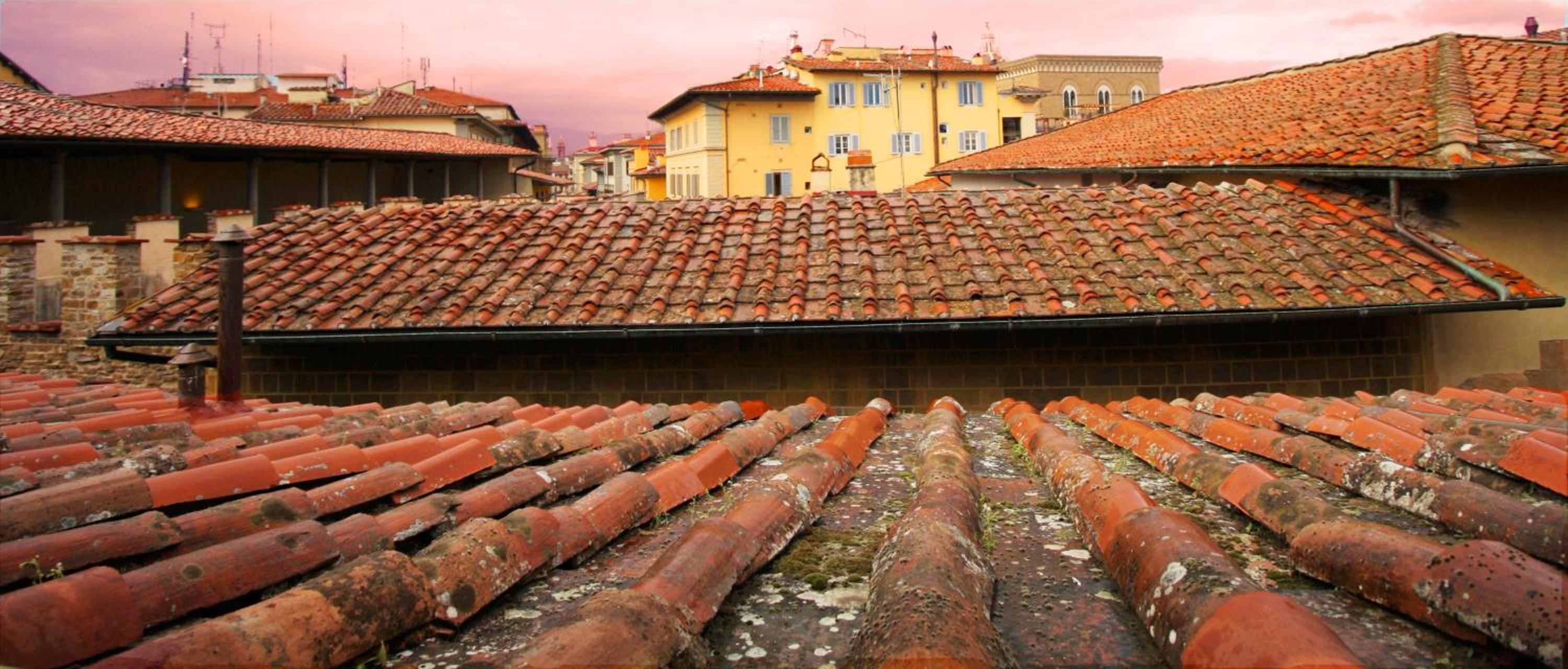 roof