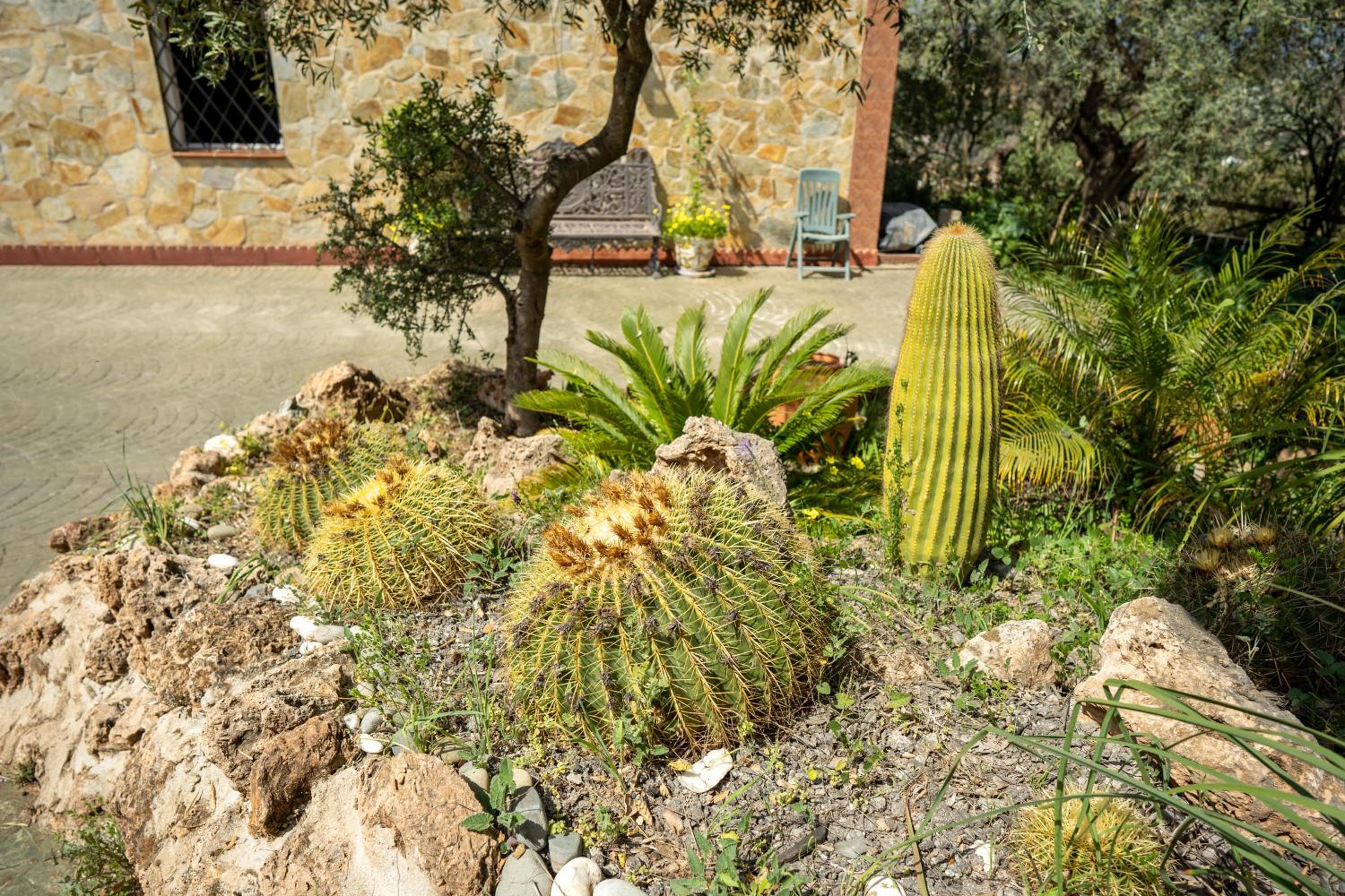 Villa Rural La Cascada