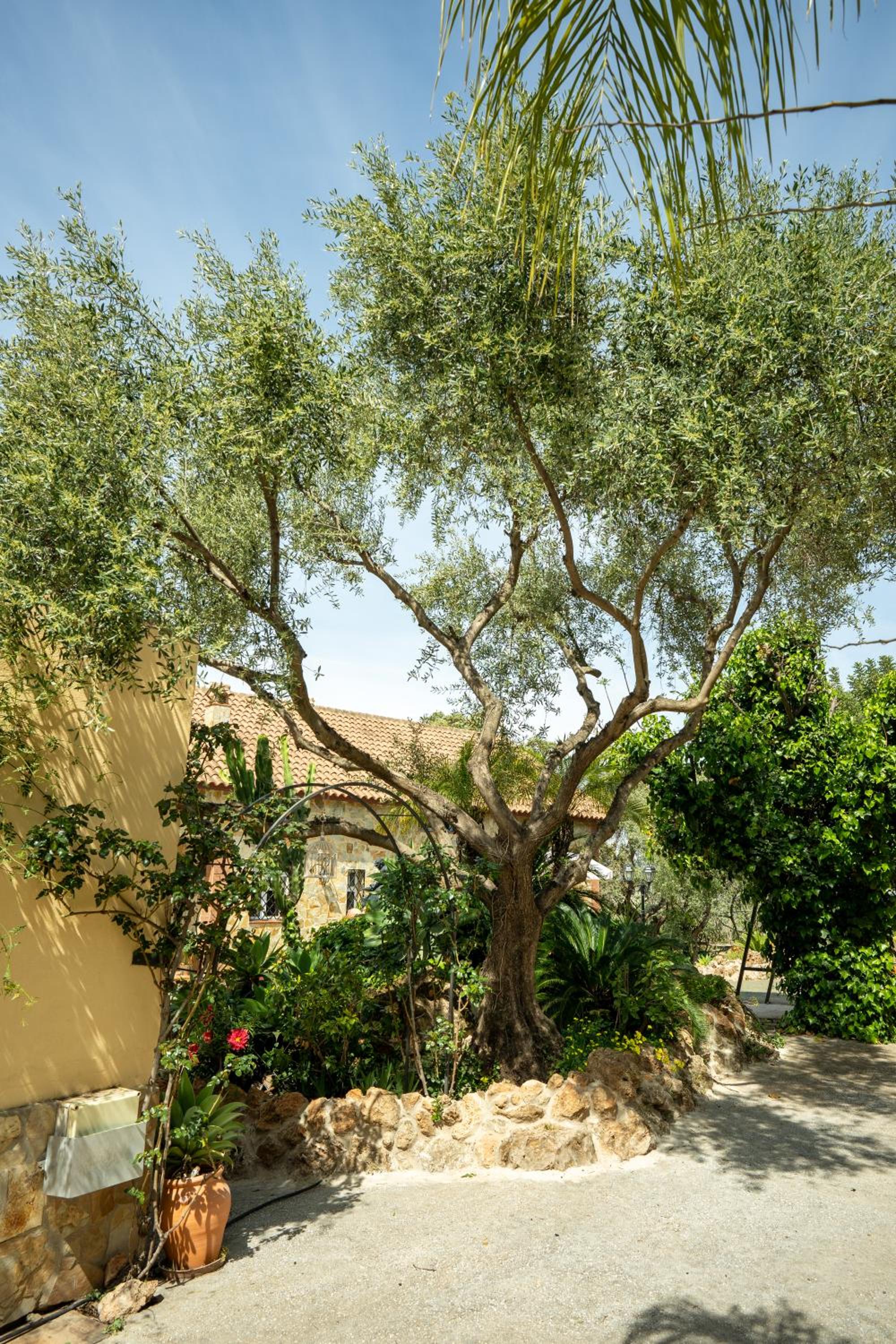 Villa Rural La Cascada