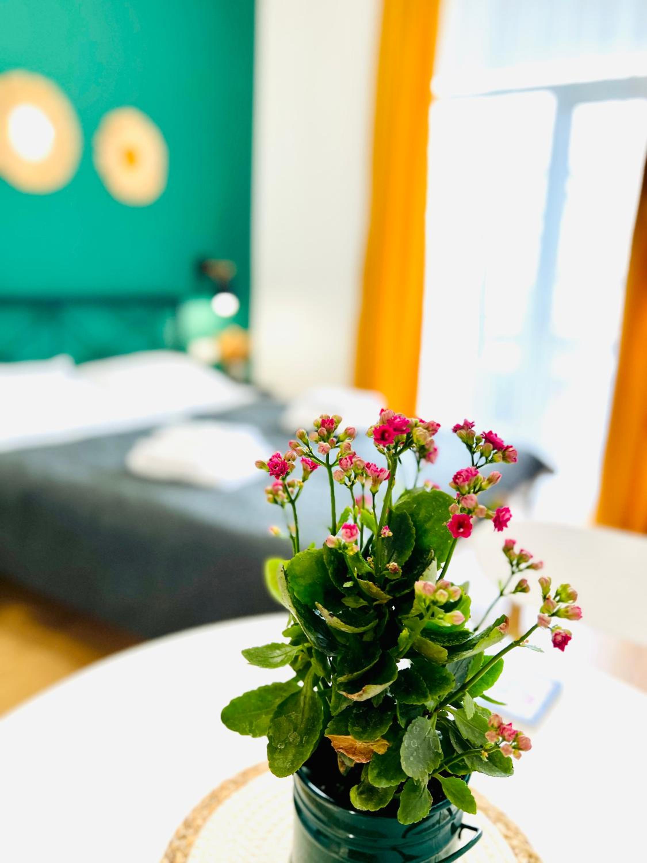 Ortachala Romantic Apartments