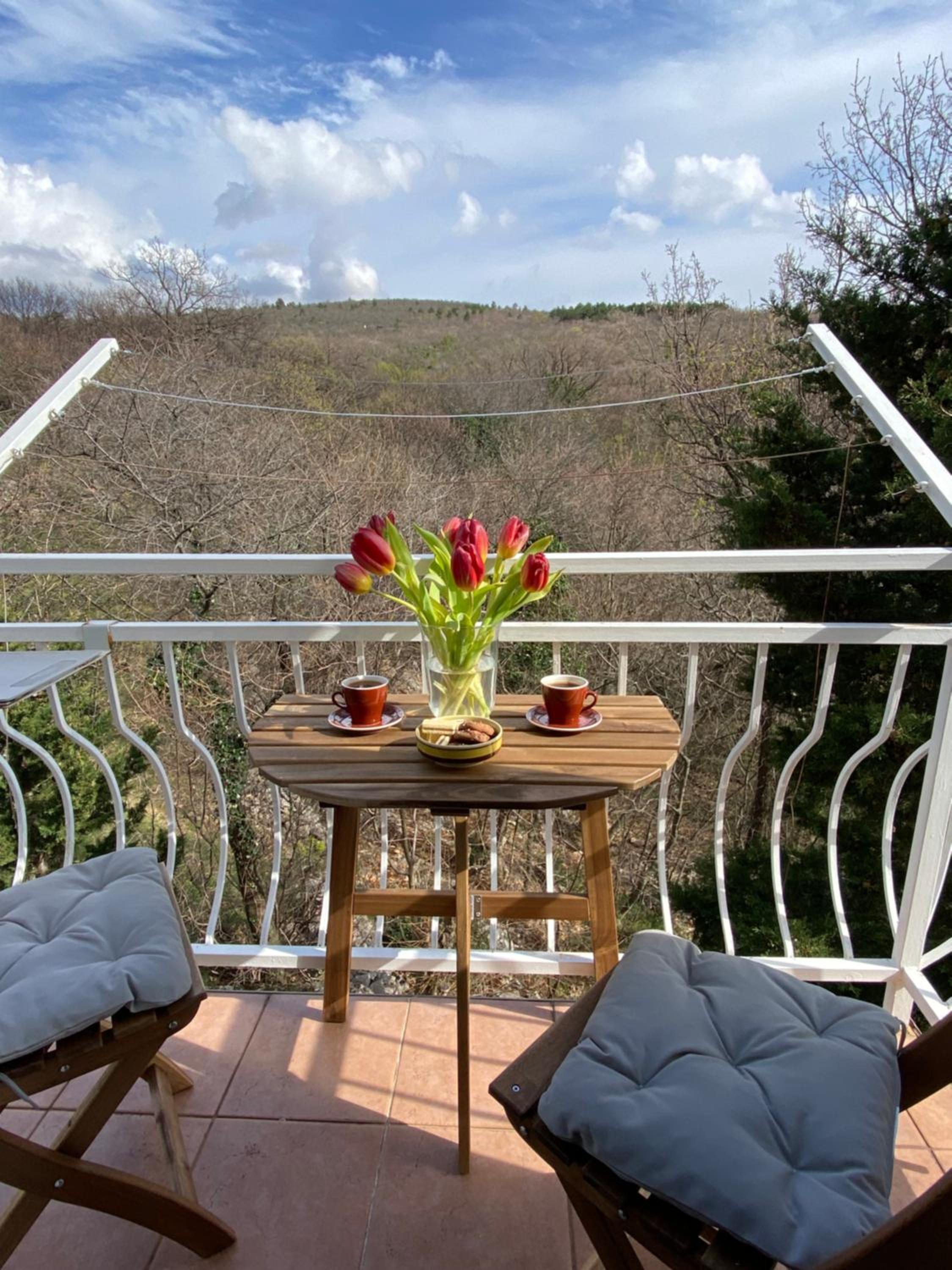 Villa Theresa