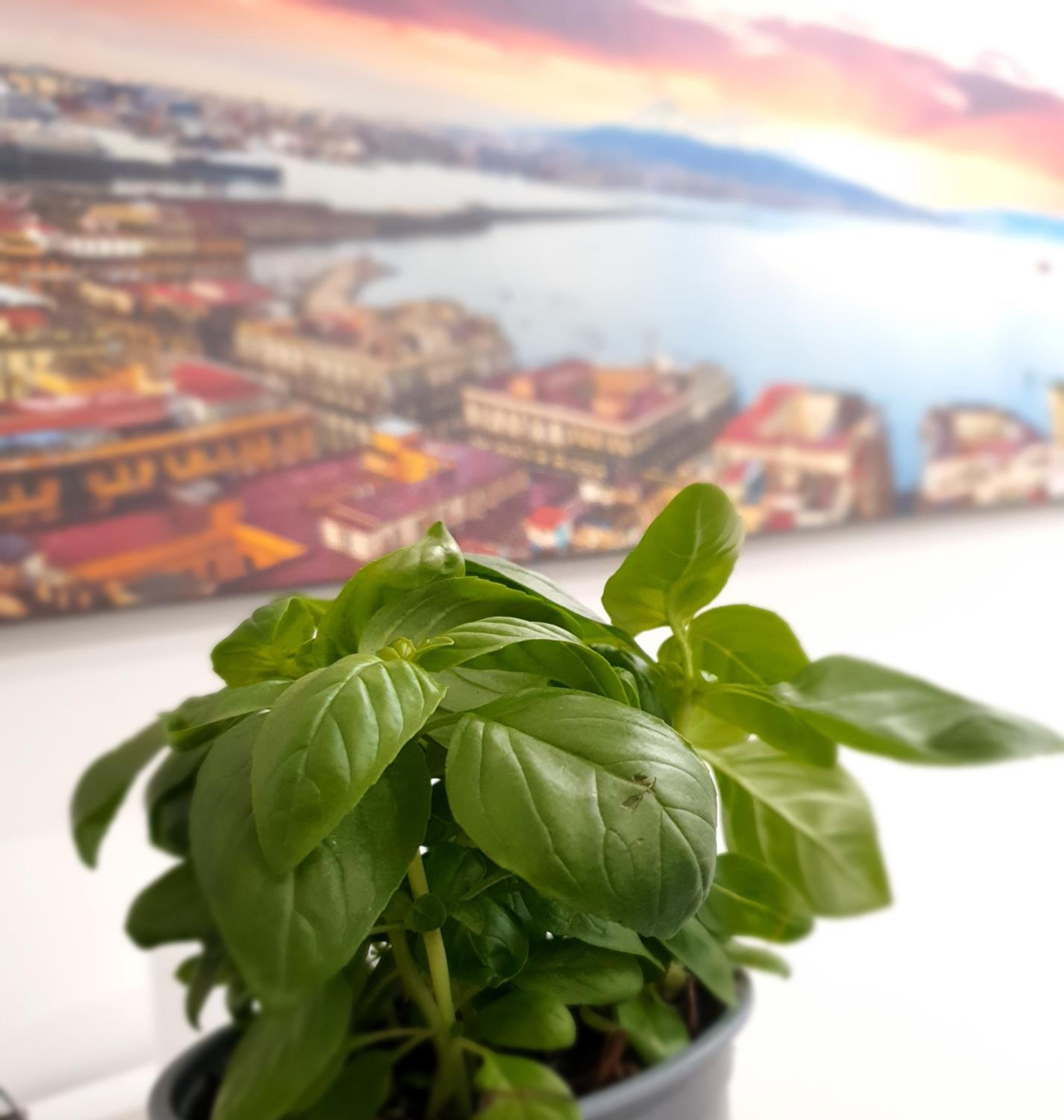 Gaisa Naples - Bed & Breakfast