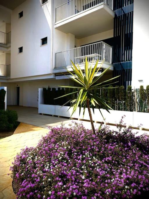 MyChoice Terraces
