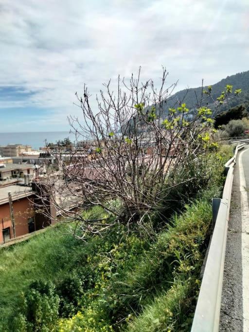 stella marina view 4