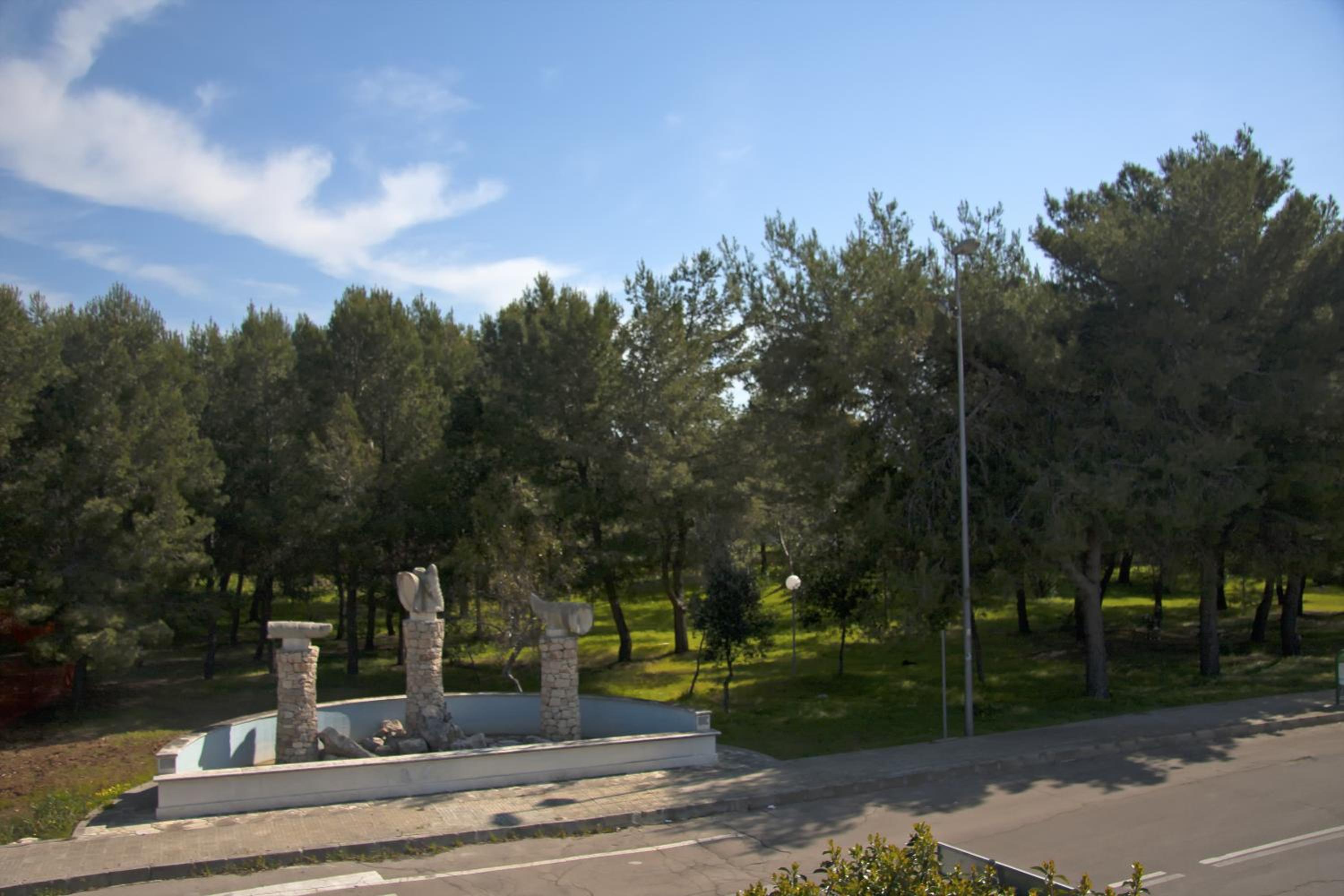 Photo 33